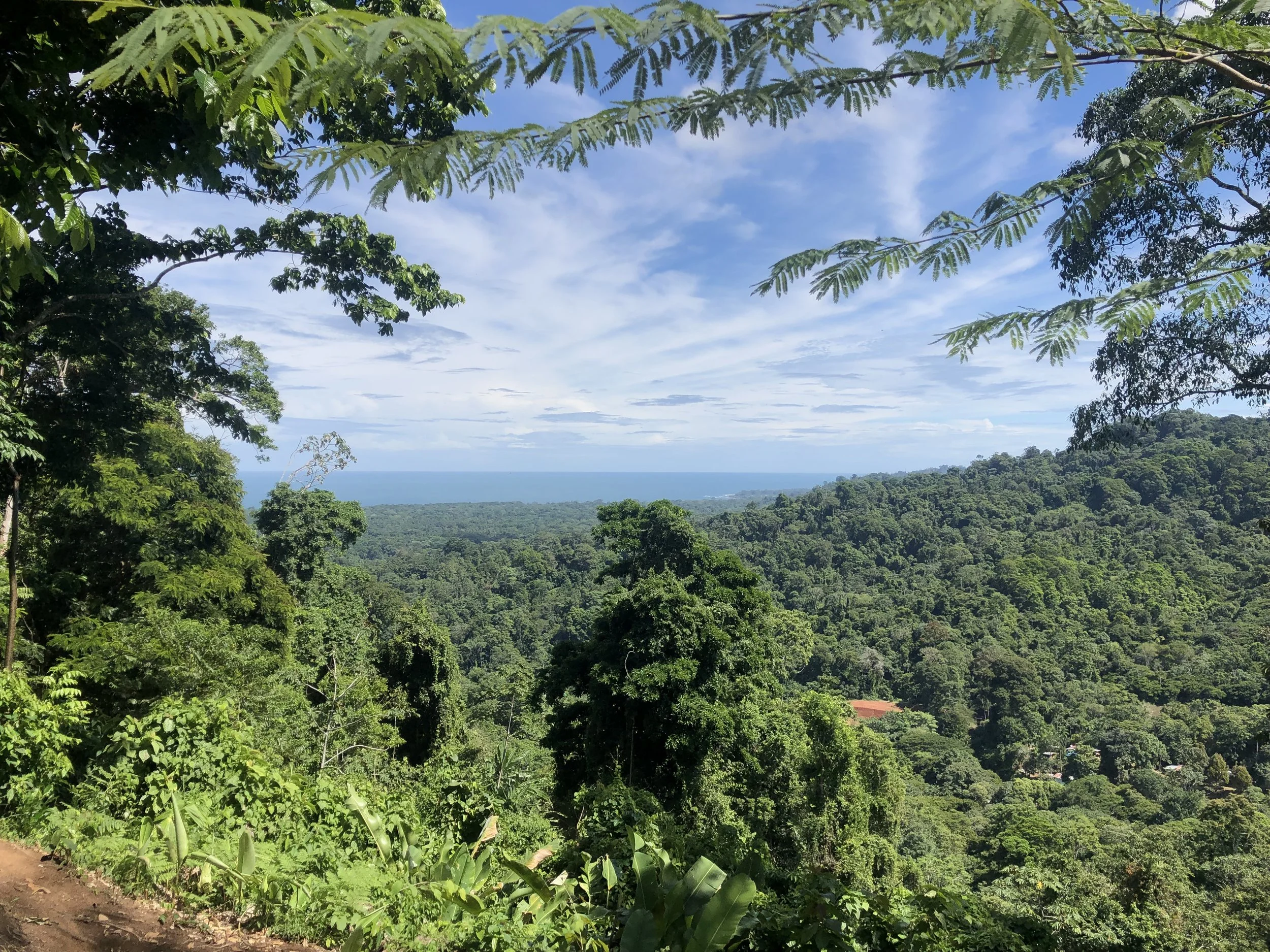 Forested land and ocean view at SEED, an ecovillage with residential lots in Caribbean Costa Rica.