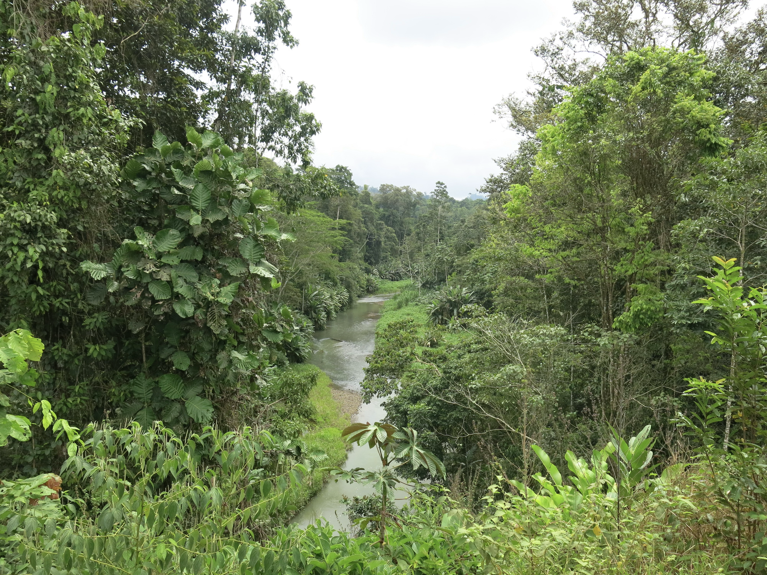 River valley and forest at SEED, a sustainable ecovillage for living on the land in Costa Rica.