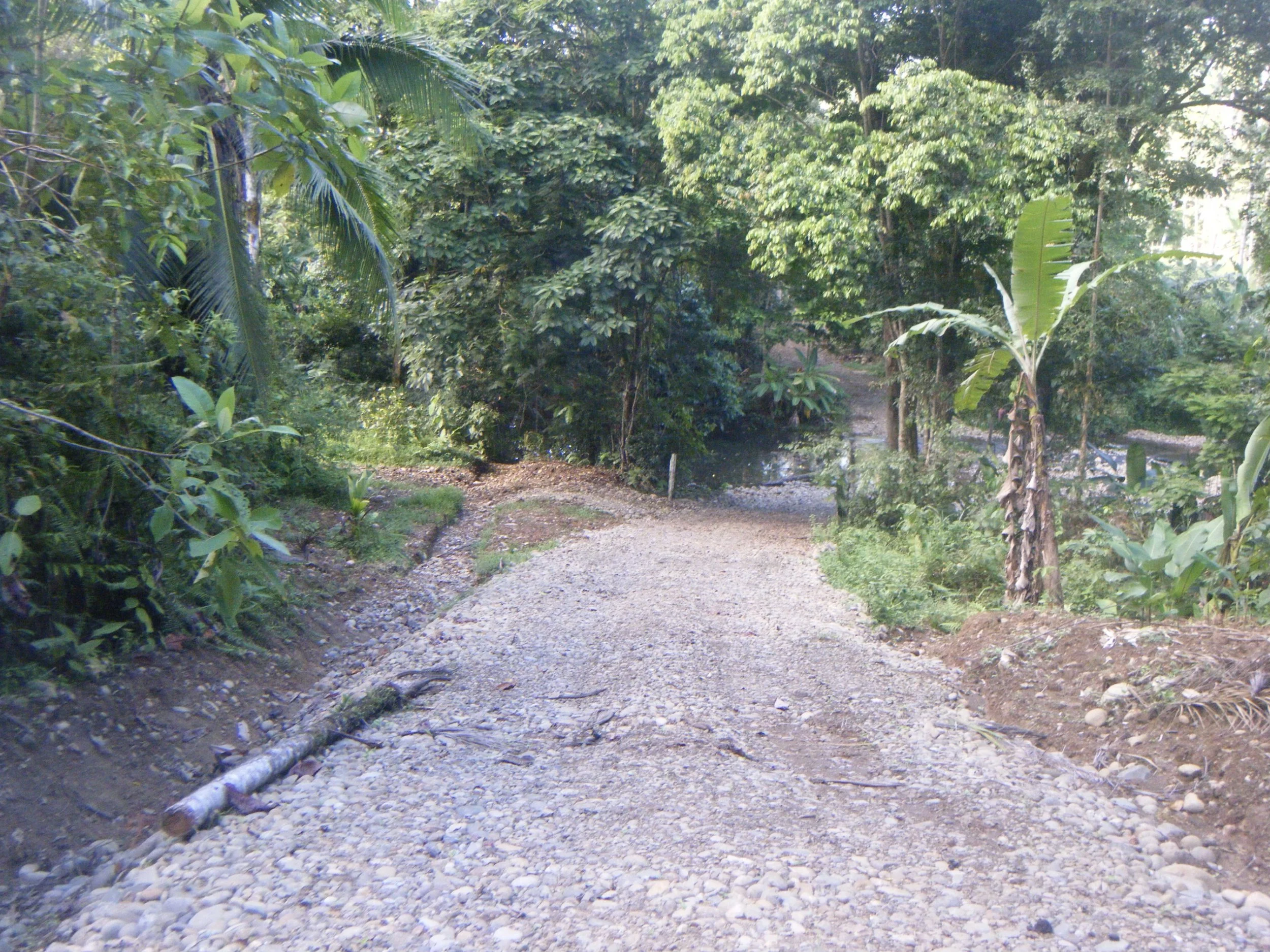 Shared access road at SEED in Costa Rica, maintained as part of the ecovillage’s common infrastructure and land stewardship.