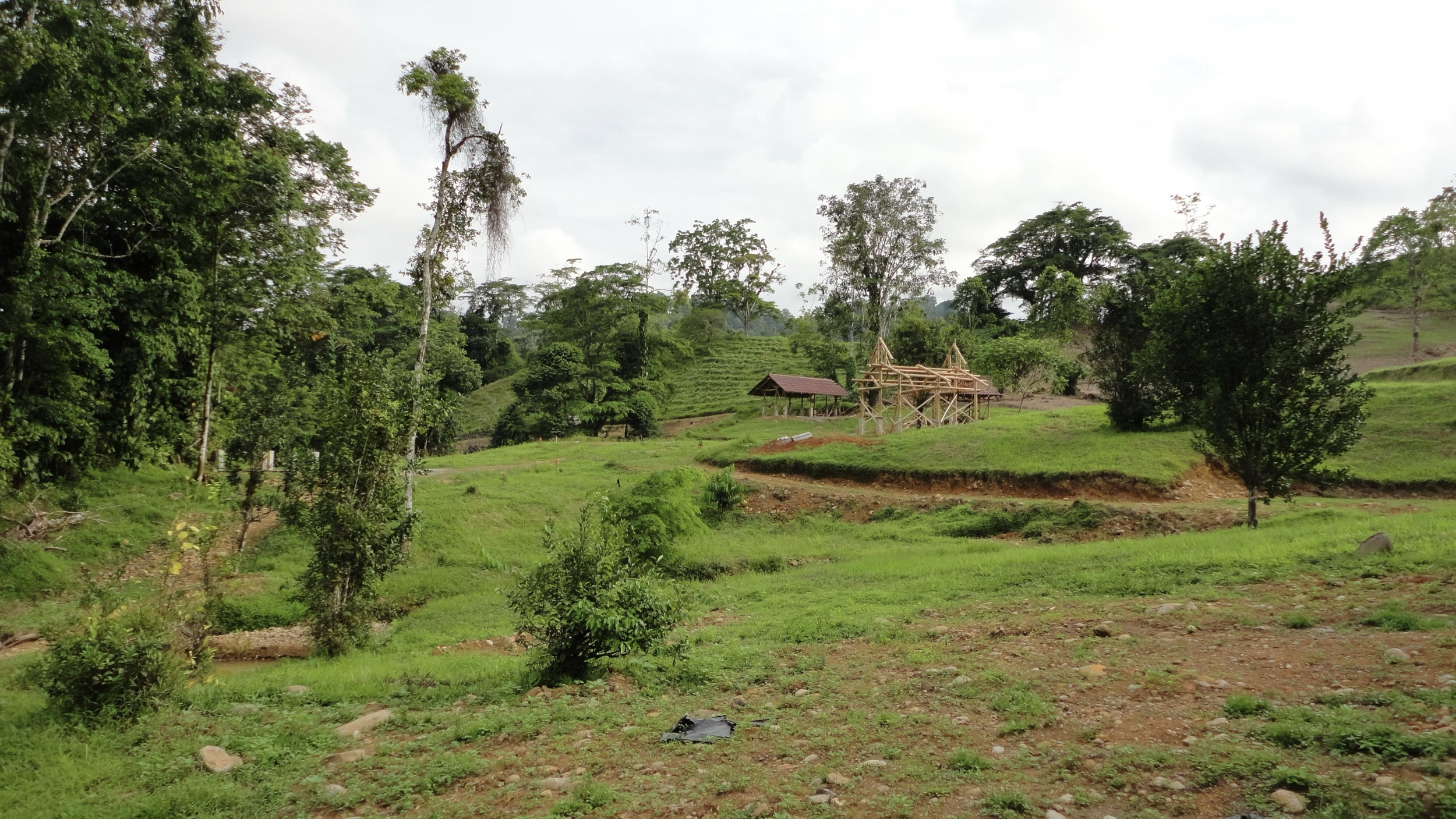 Open land, gardens, and shared spaces in SEED, an ecological residential community in Costa Rica.