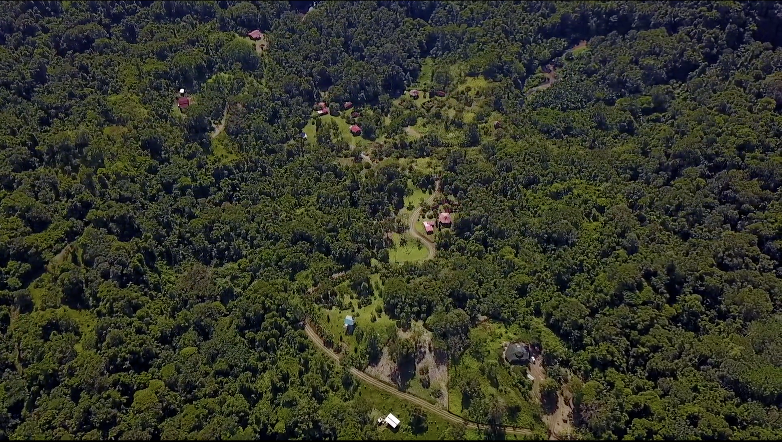 Aerial view of SEED, a forested ecovillage and land-based community near Puerto Viejo and Cahuita in Caribbean Costa Rica.