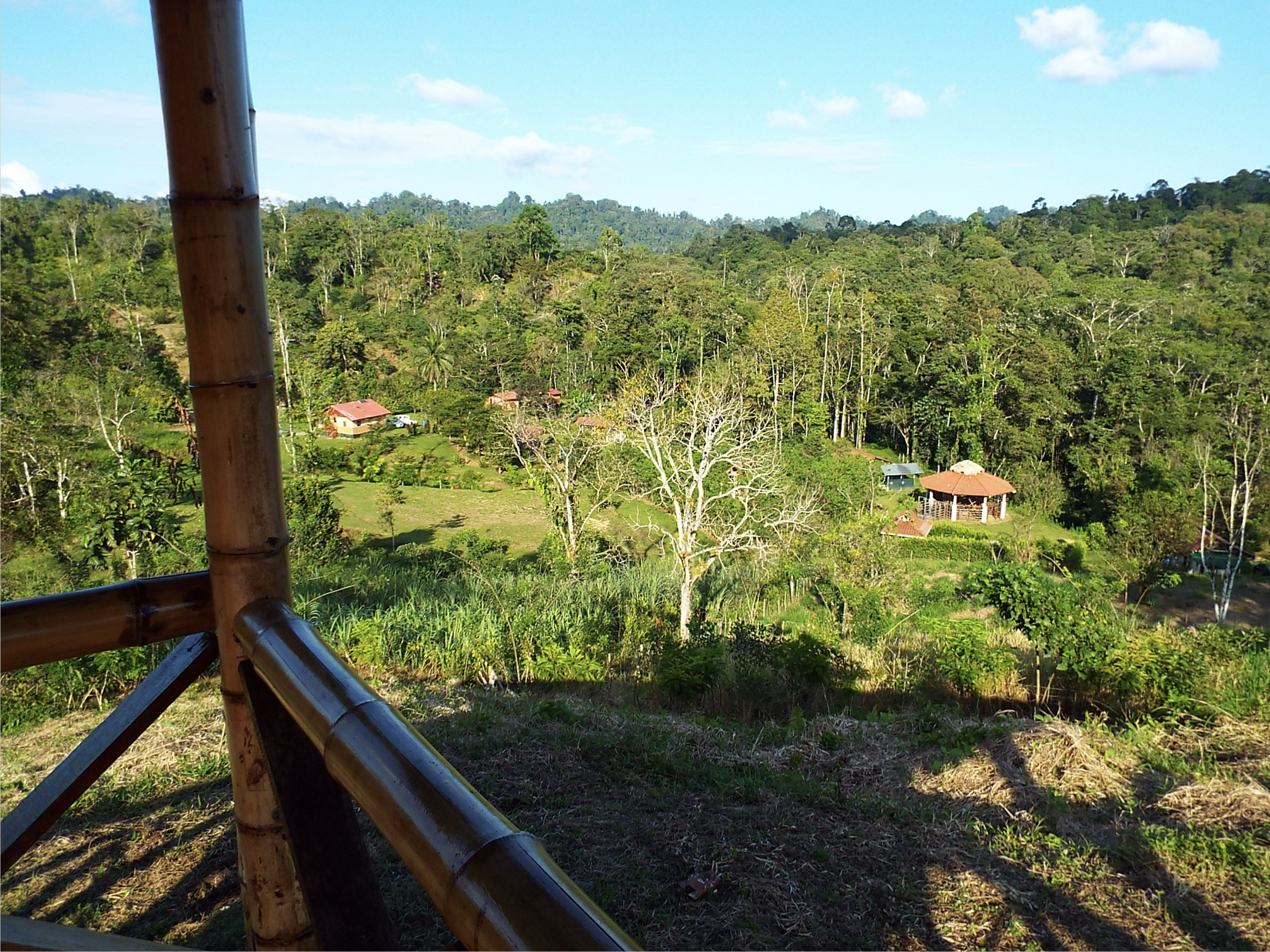 View of homes, forest, and shared land at SEED, a land-based ecovillage community in Costa Rica organized around shared agreements.
