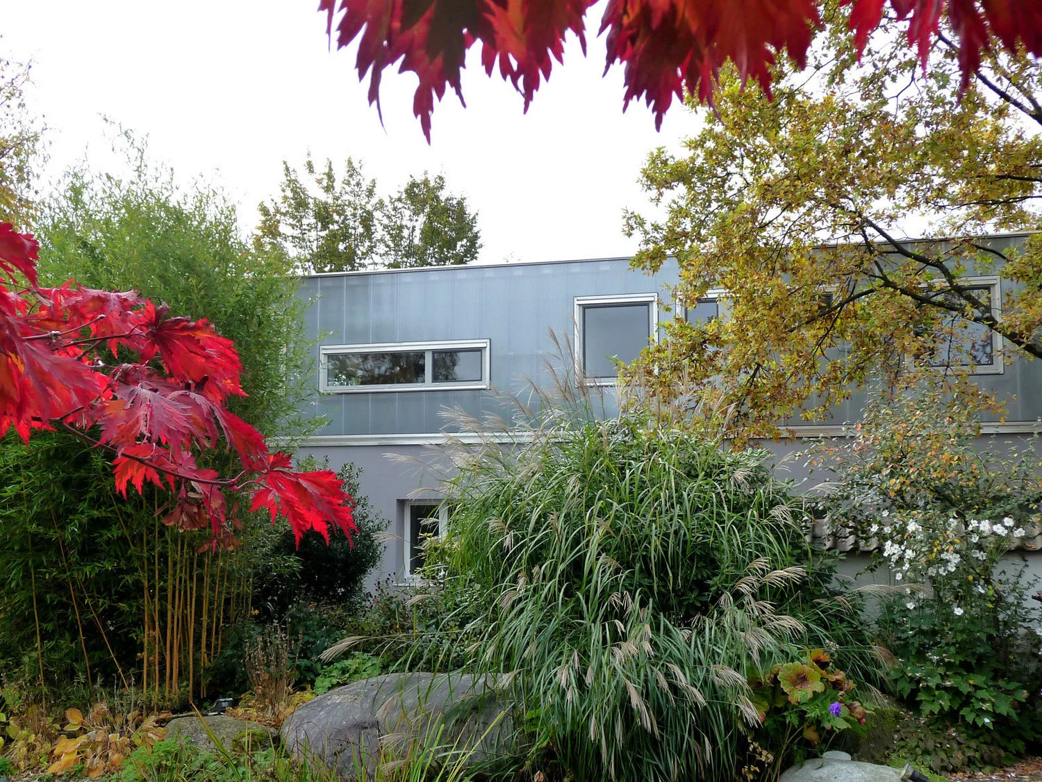 bengel_garden-view.jpg