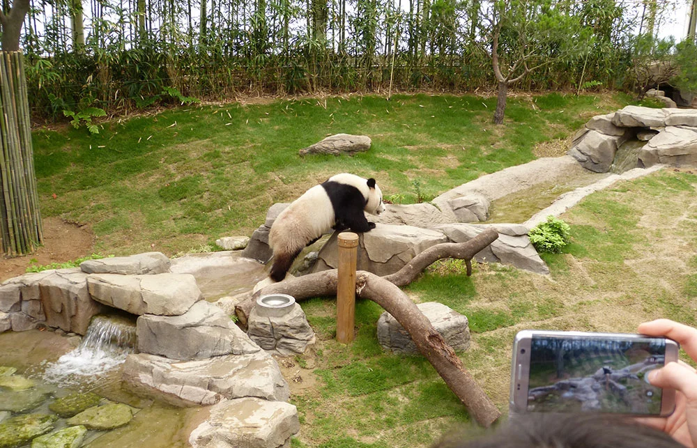 panda_hills_indoor_stones_frank_landscape_dan_pearlman.jpg