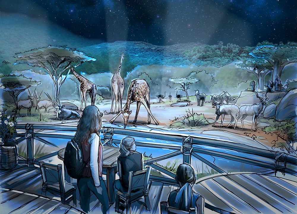 Giraffe_Feeding.jpg