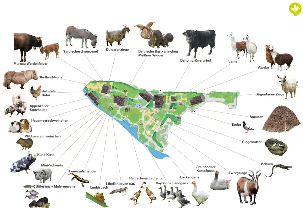 Masterplan_Biodiversitaet_muehlendorf.jpg