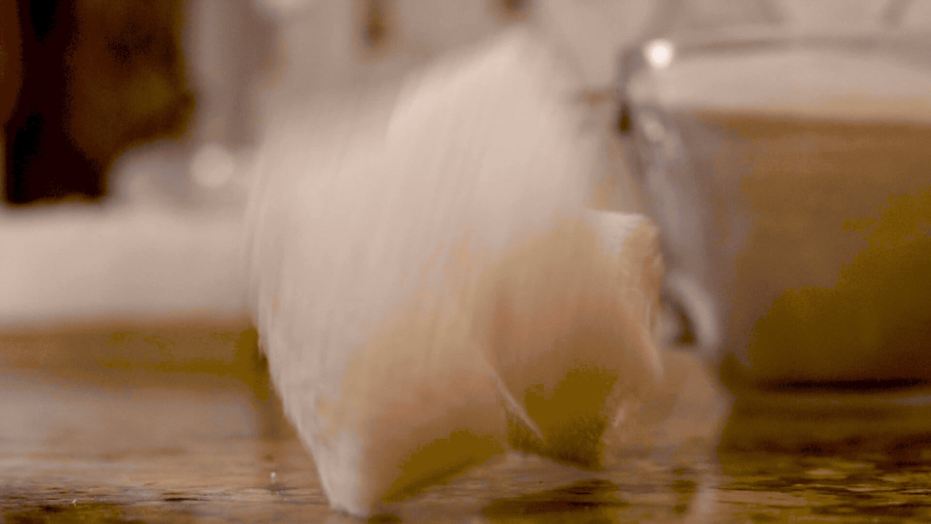 loofah.gif