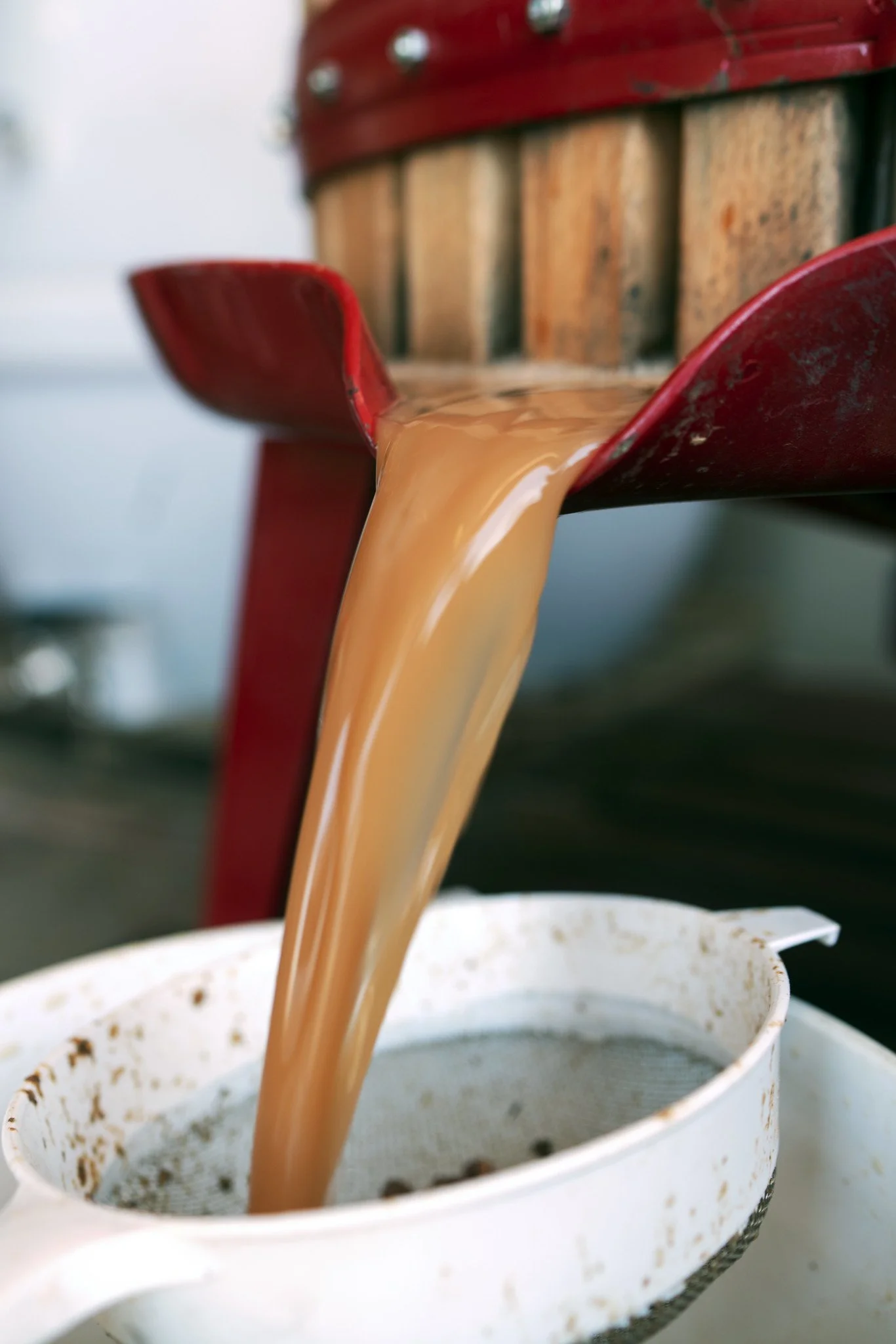 Wine pouring out of our wine press.