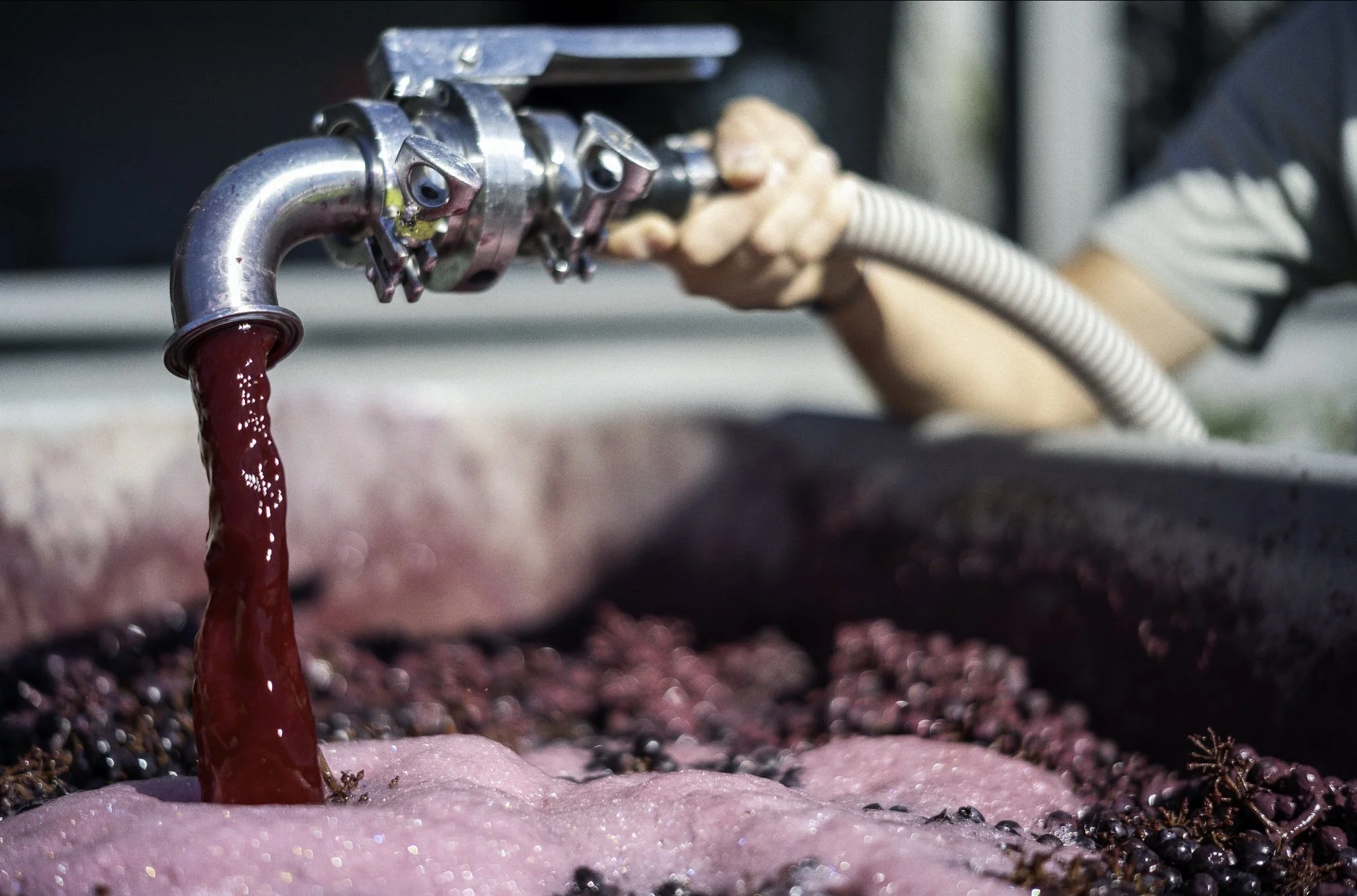 A person doing pump over on red wine ferments.