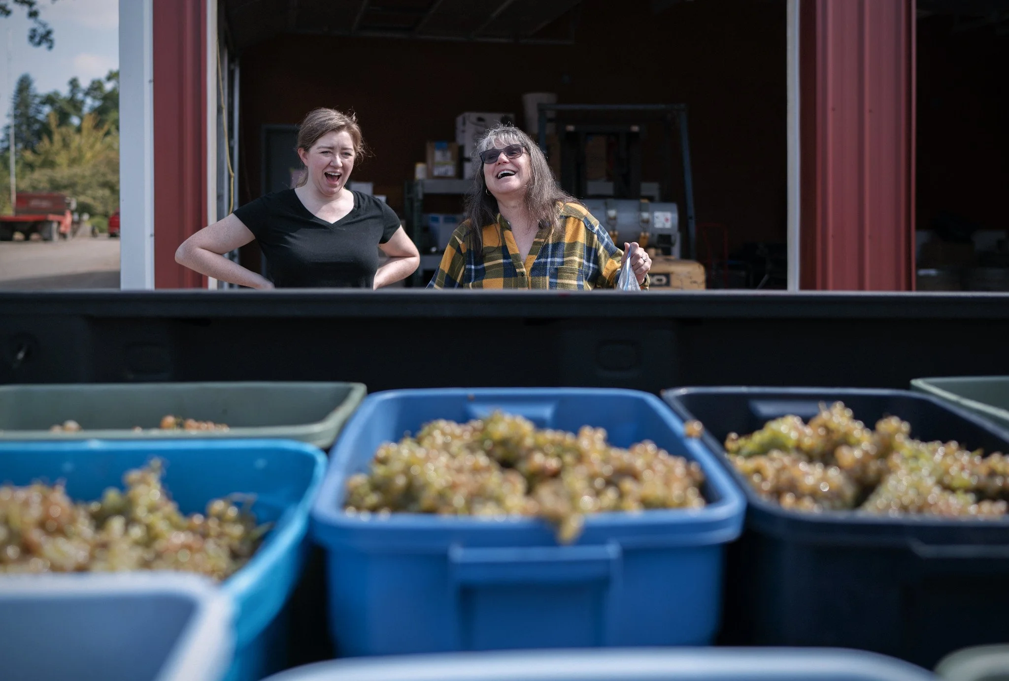 Two women smiling and talking while standing behind a truck bed filled with blue containers of grapes, with a red building in the background.