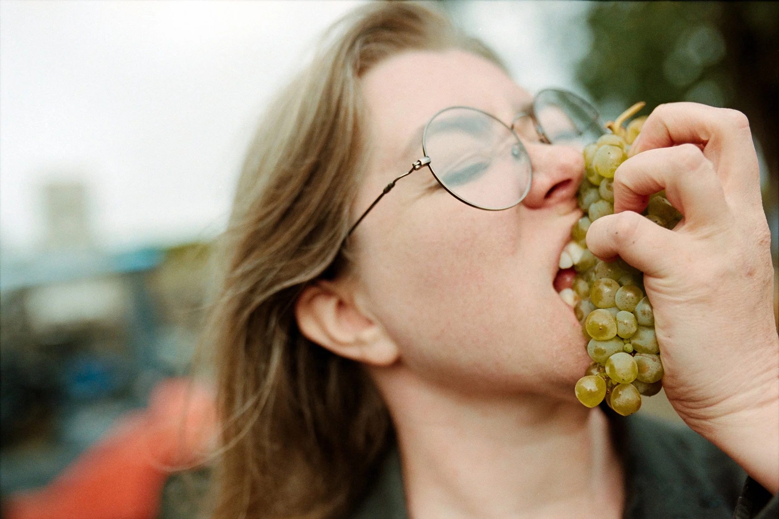 A woman wearing glasses is biting into a bunch of green Chardonnay grapes outdoors.