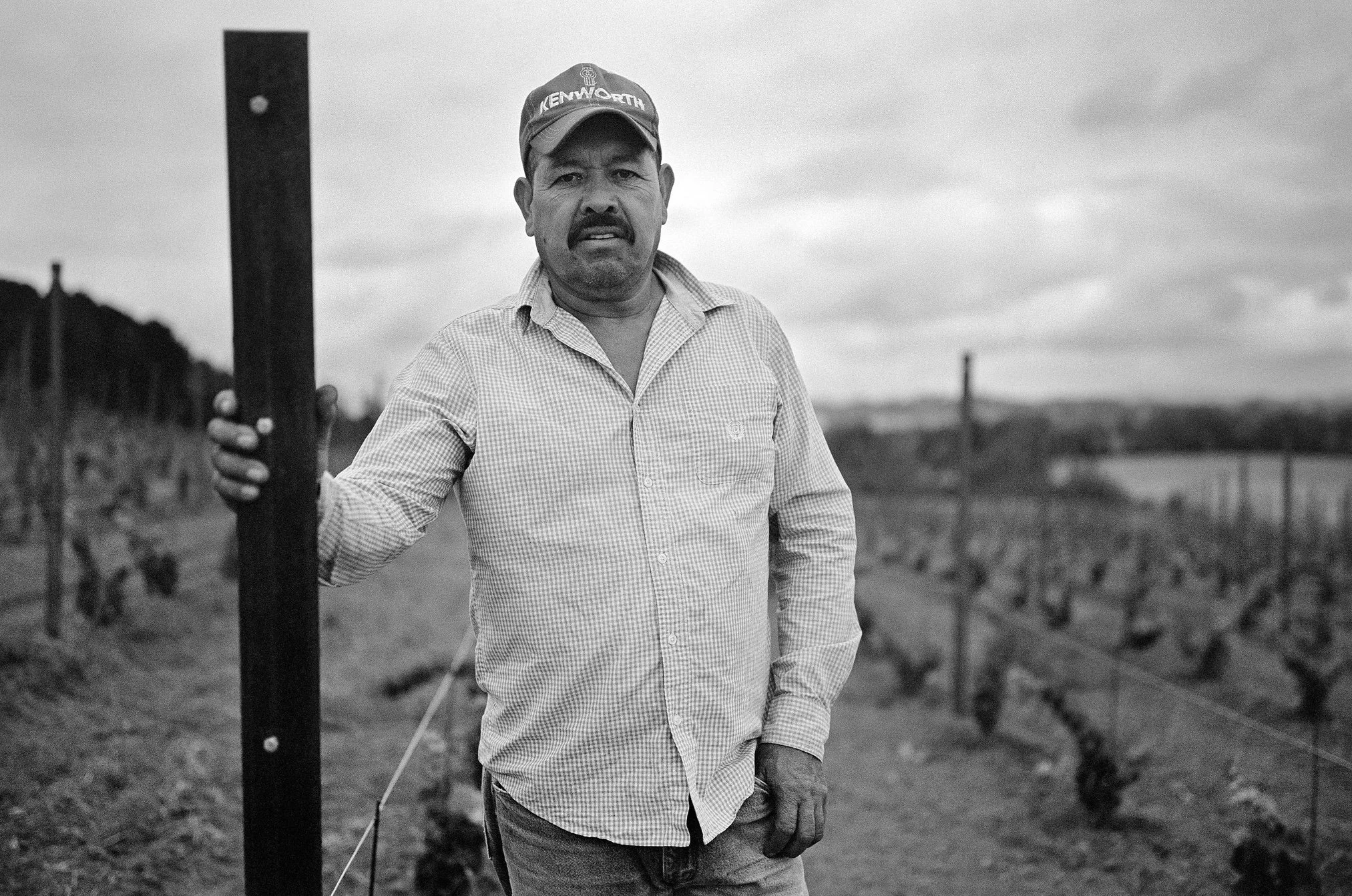 A man standing in a vineyard holding a post, wearing a cap and checked shirt, with rows of grapevines in the background.
