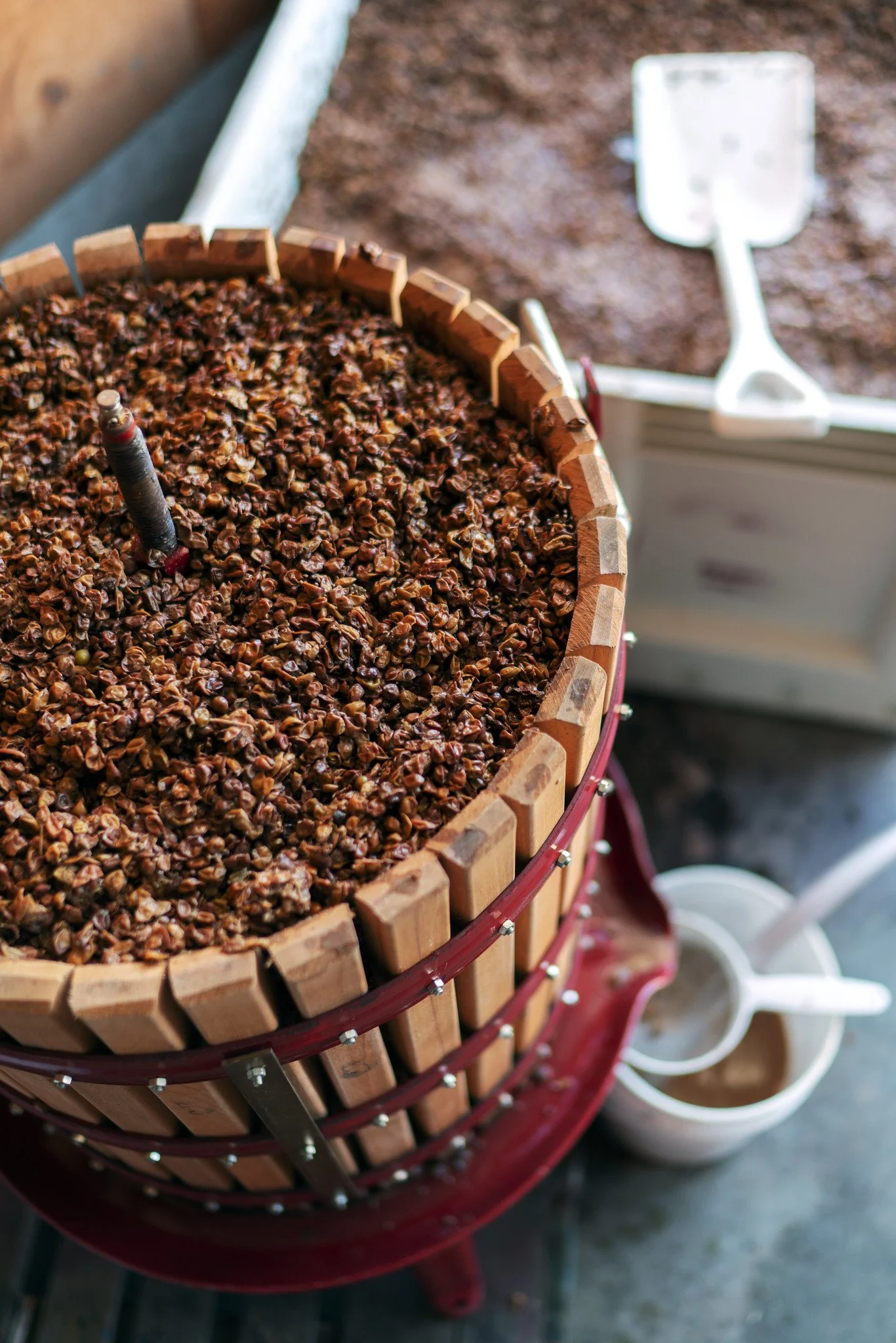 A wine press filled with grapes.