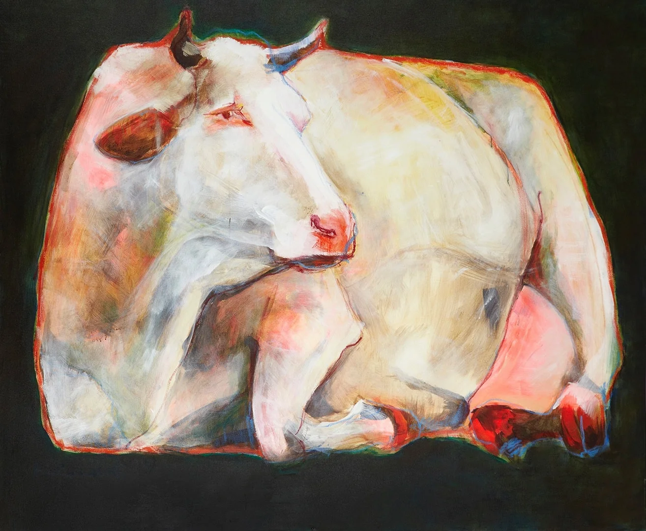 recumbent cow
