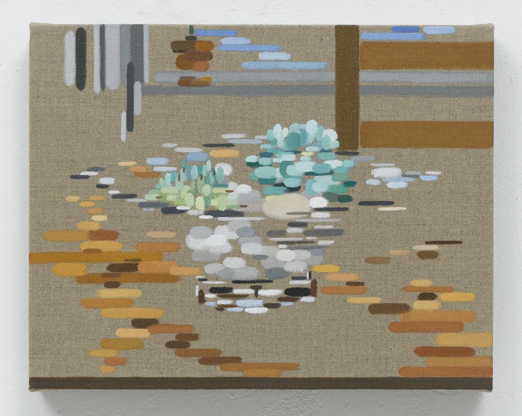 Succulents