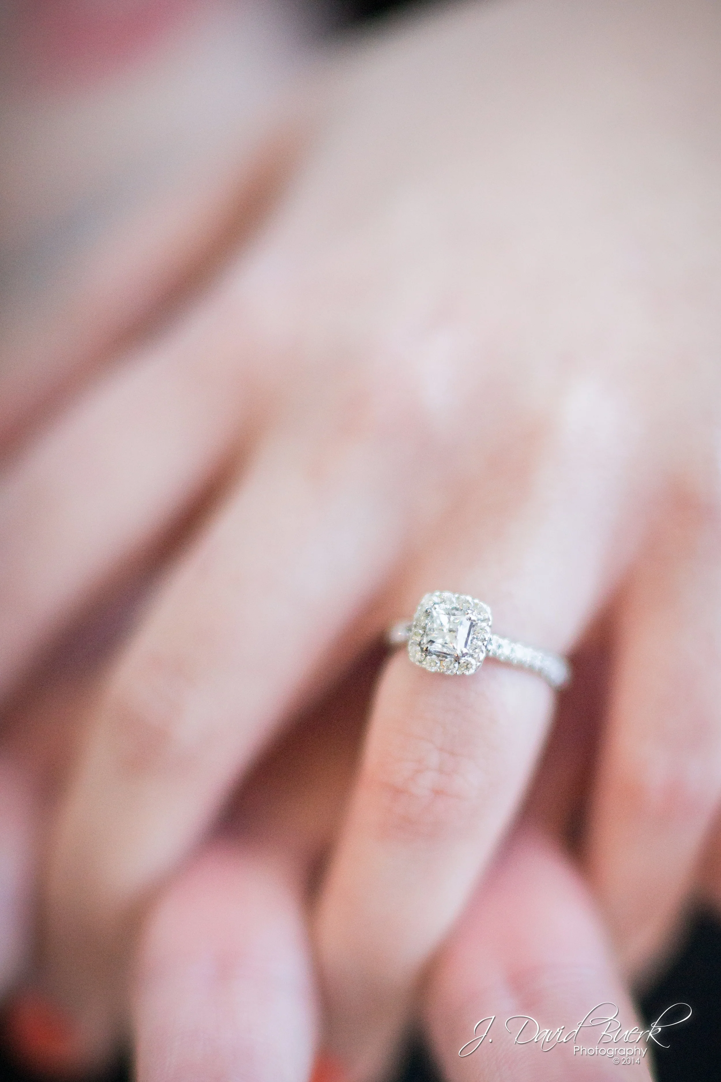 Matt and Amber - The Proposal (400 of 415) (IMGL5308).jpg