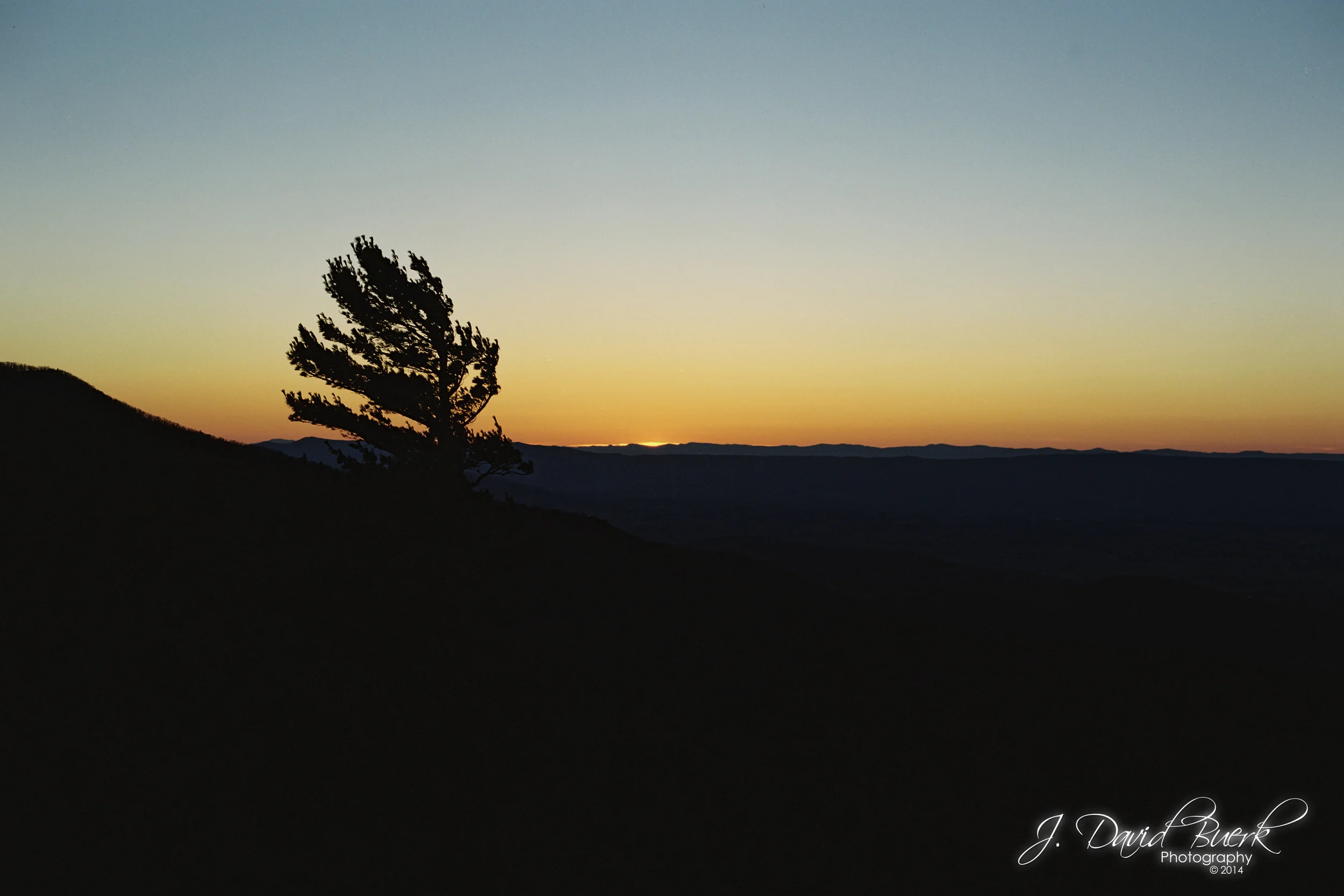 The first shot from my new Mamiya Super 23 Press Camera, using Portra 400 in a 6x9 medium format back in Shenandoah National Park's Skyline Drive.