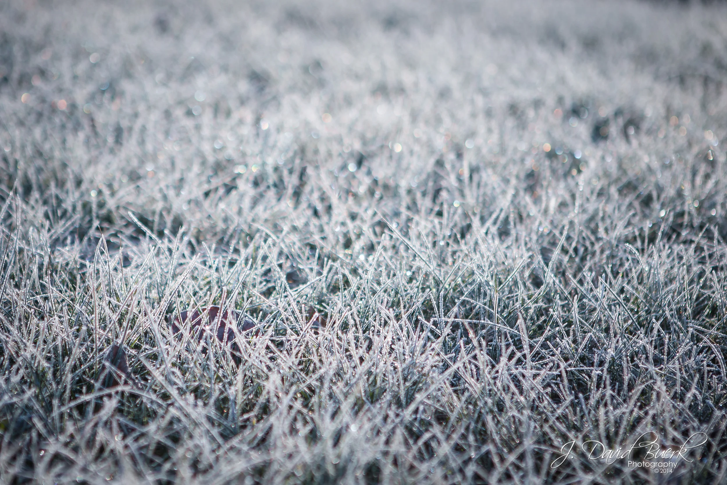 Somewhere In My Memory: Winter of 2014
