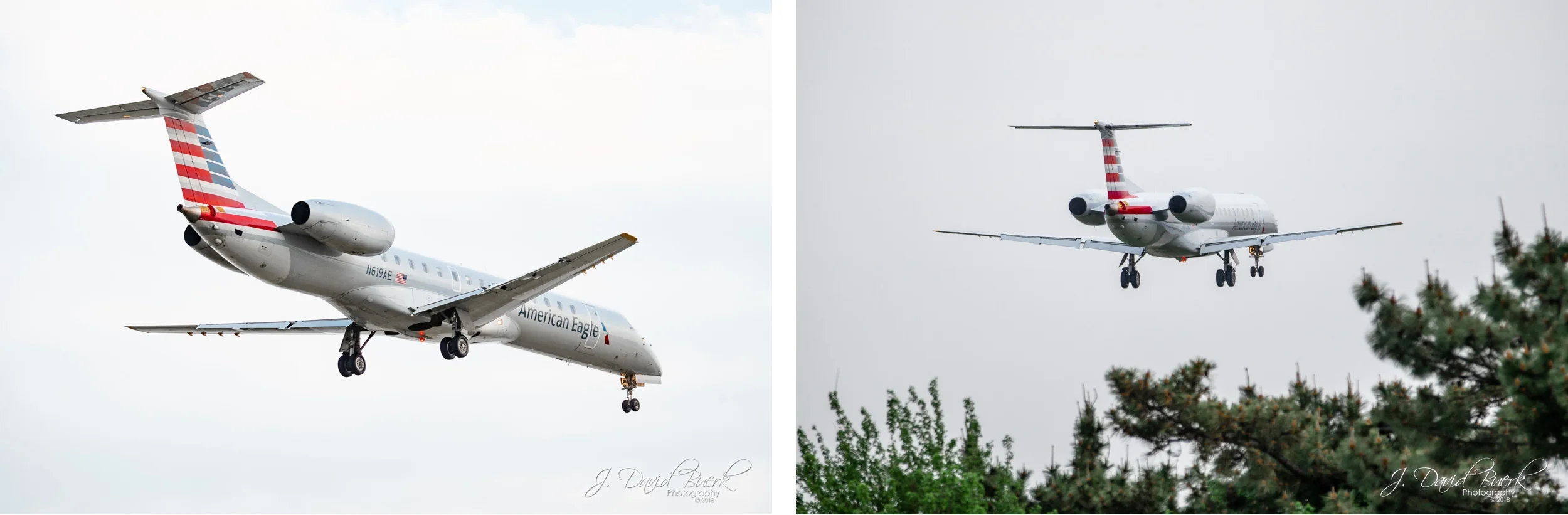 DCA Planespotting 5.jpg