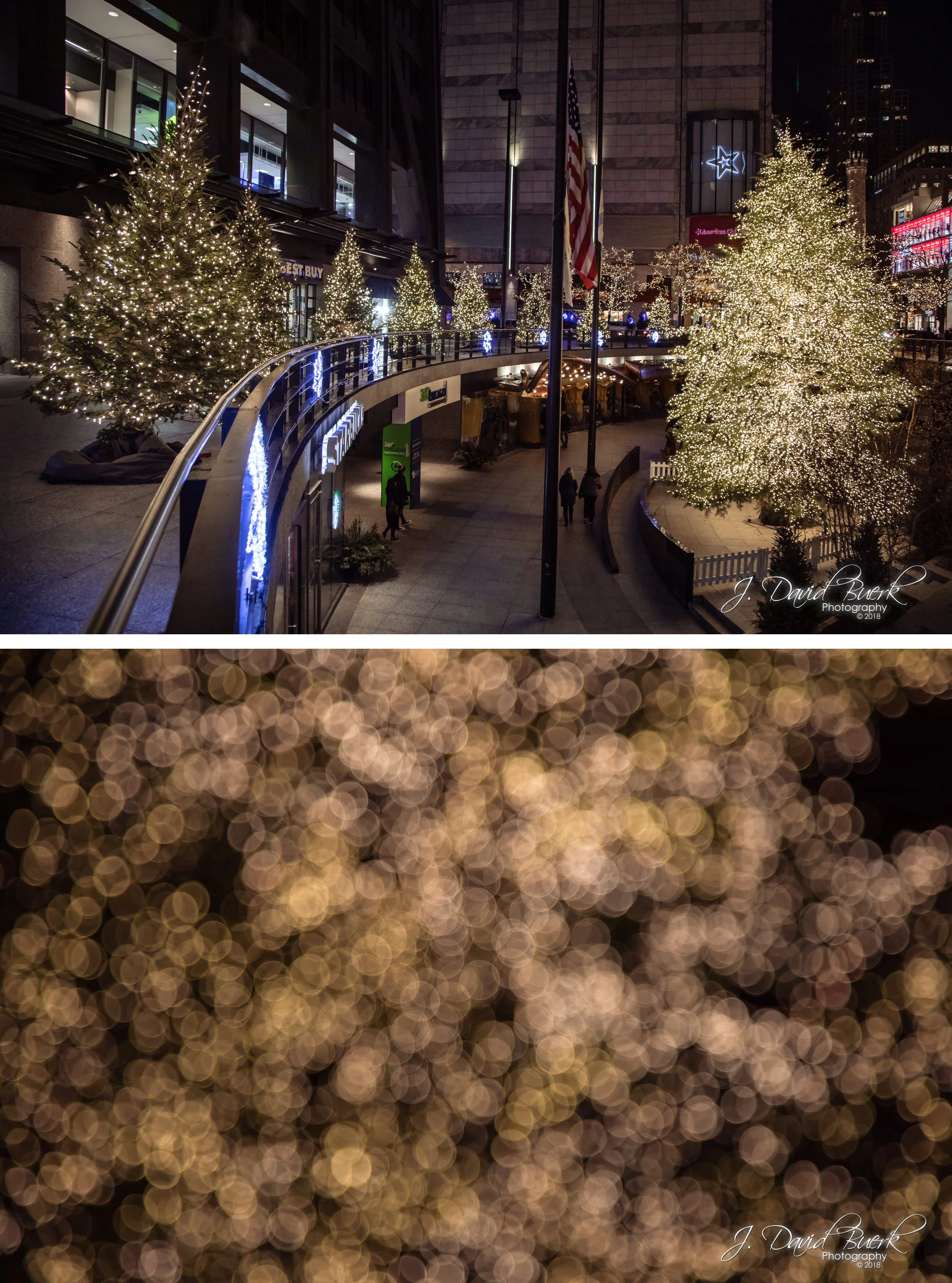 20181225 - Christmas in Chicago 7.jpg
