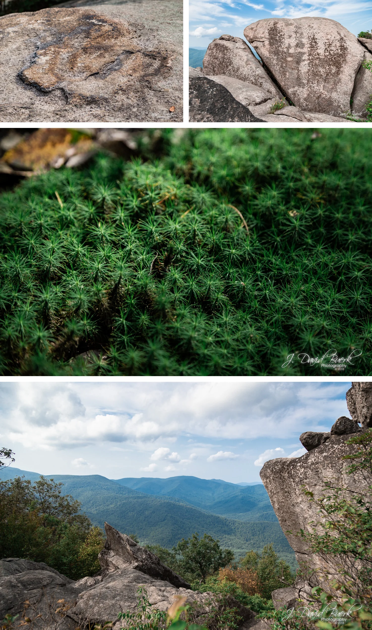 Old Rag Mountain: August, 2018 — J. David Buerk - Photography
