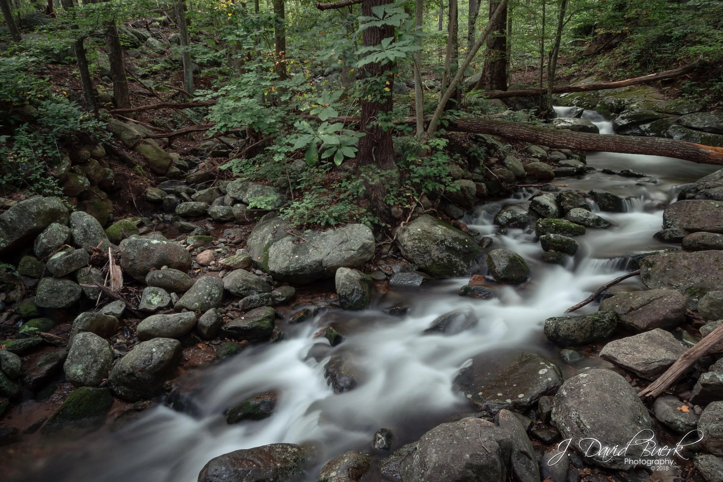 Old Rag Mountain: August, 2018 — J. David Buerk - Photography
