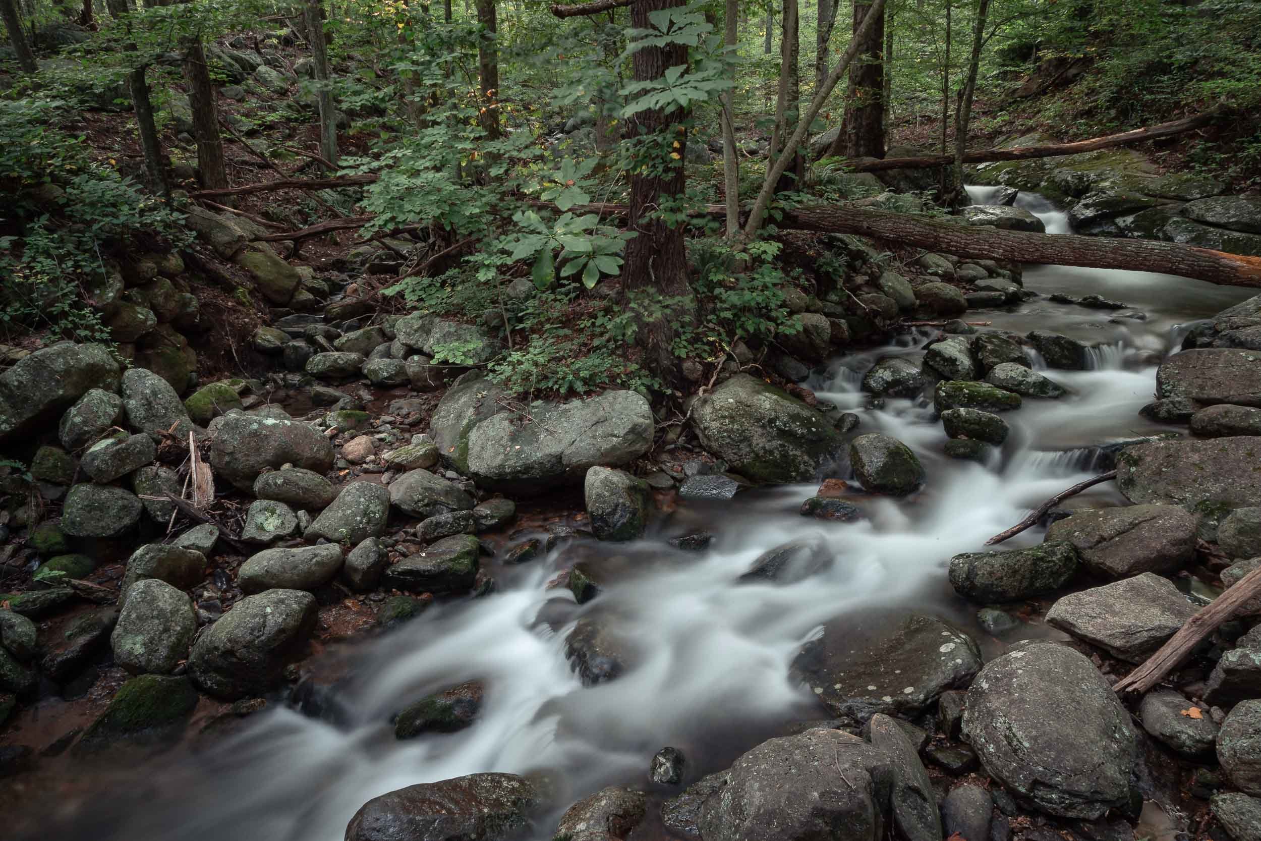 www.jdavidbuerk.com - Landscapes and Wildlife - 014 - 20180826 Old Rag Mountain - 1D X (158 of 160) (IMGL3862).jpg