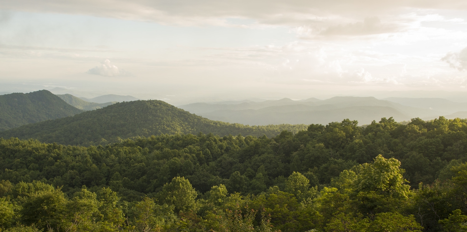 View to the west of Sassafras Mountain.