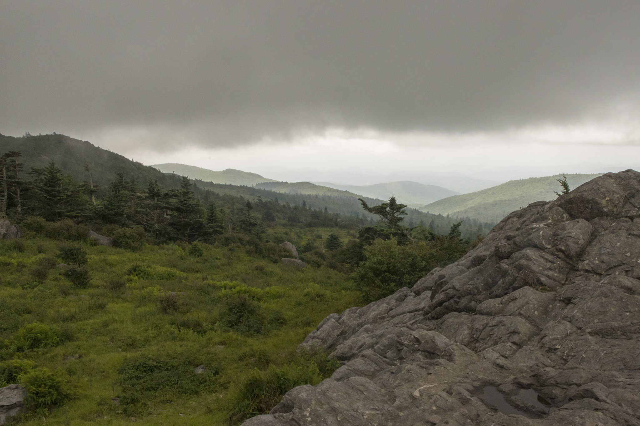043_Mt_Rogers.jpg