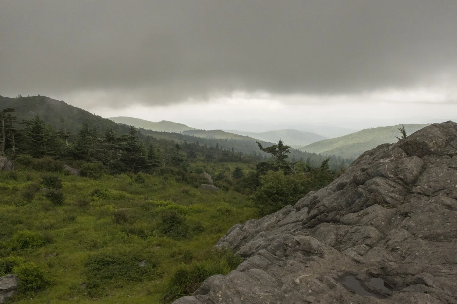Mount Rogers Highpoint Of Virginia Oh My God Look At All The Fuzzy Ponies James Suits Photography