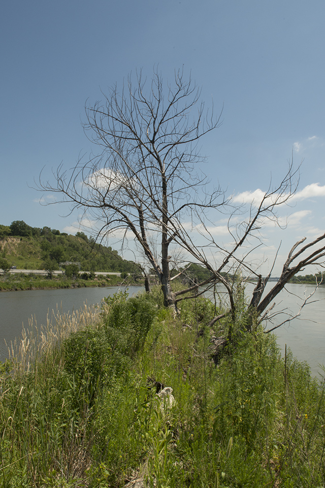 The tri-point of Iowa, Nebraska, and South Dakota