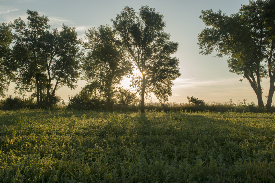 The property around Hawkeye Point