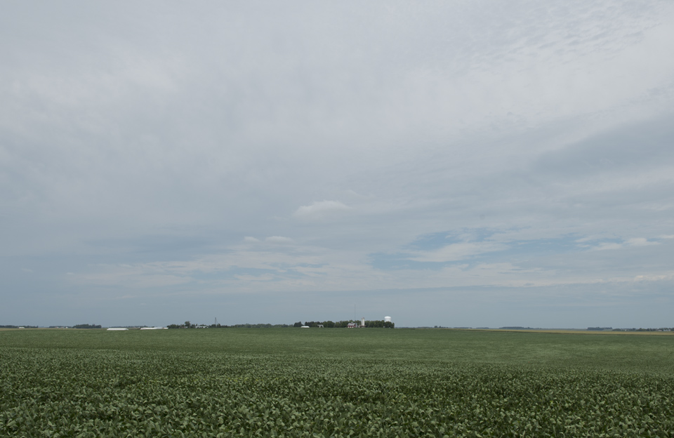 The soy fields surrounding Hawkeye Point