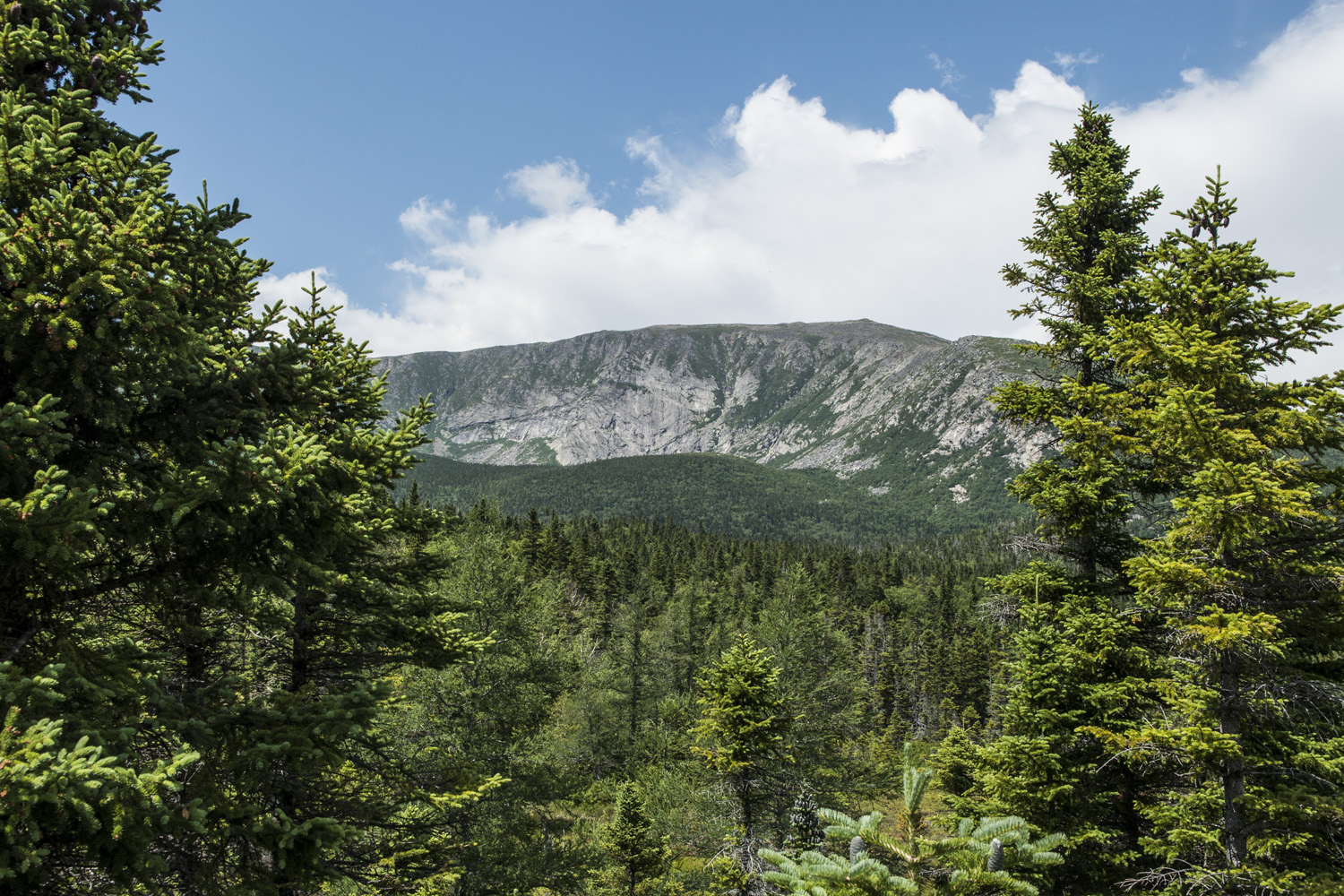 First views of Hamlin Peak