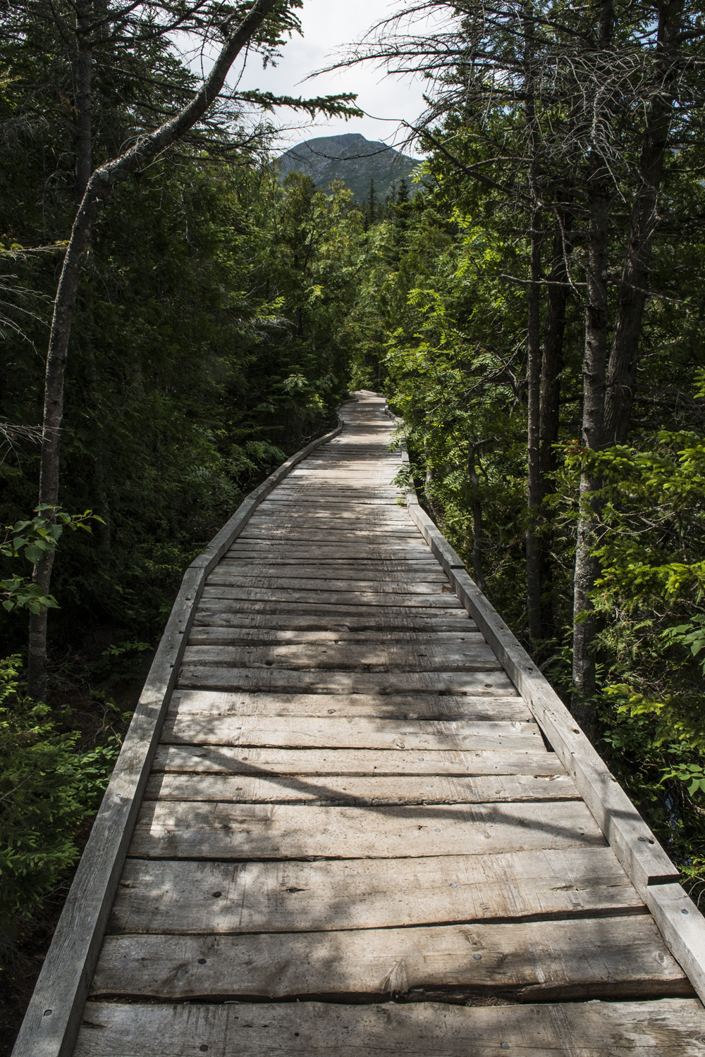 Chimney Pond Trail