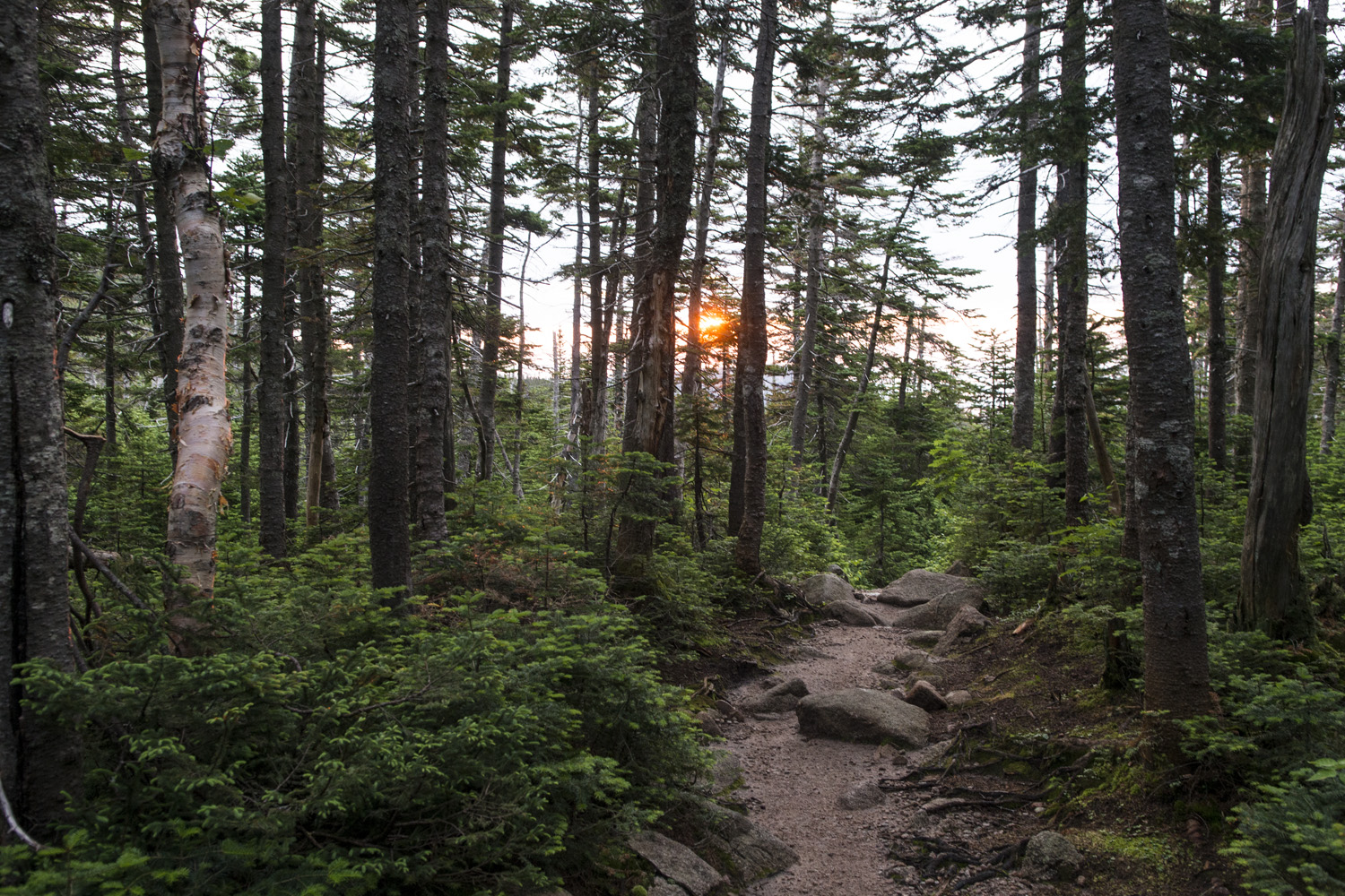 First view of sunrise on the Saddle Trail