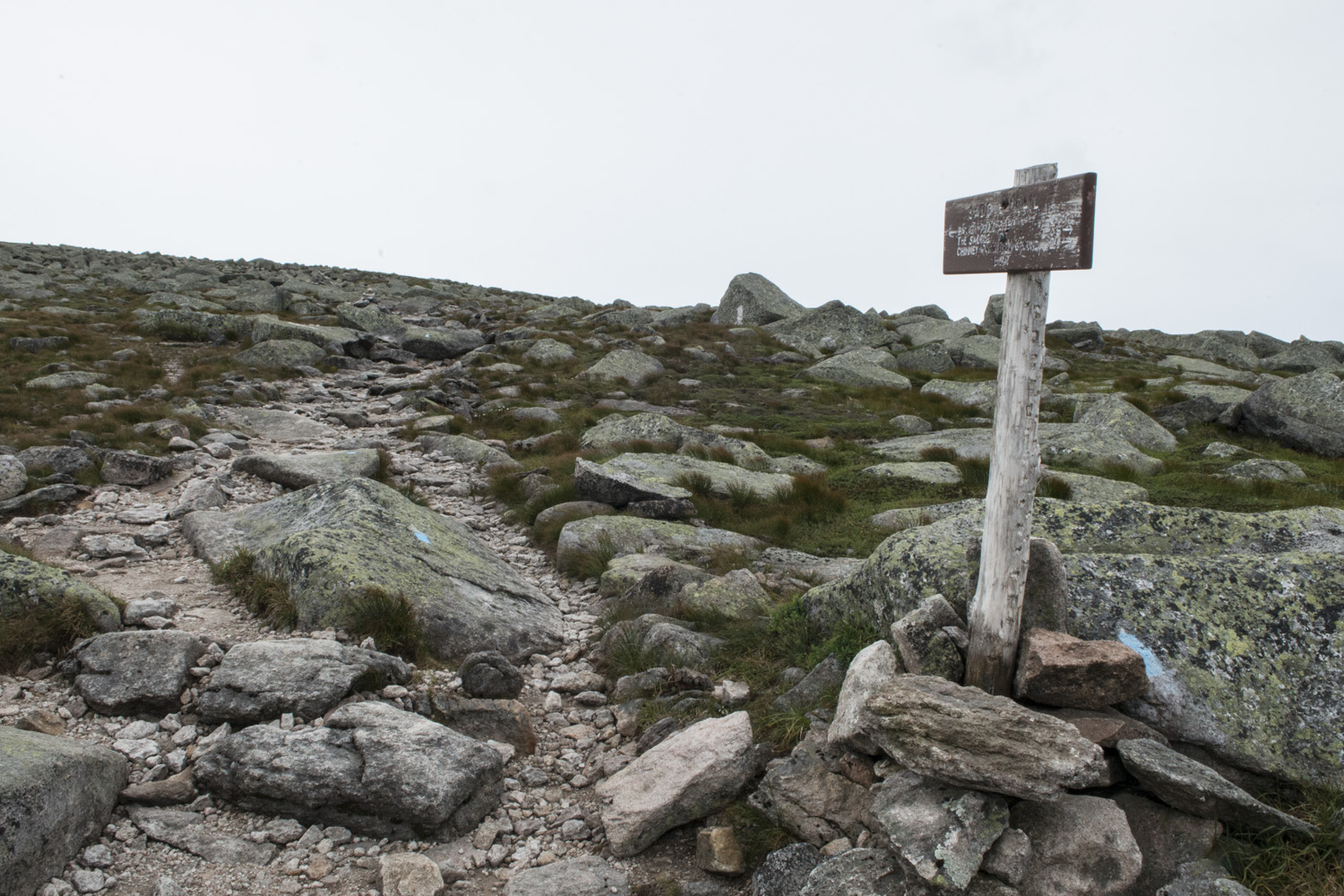 Trail junction below the summit