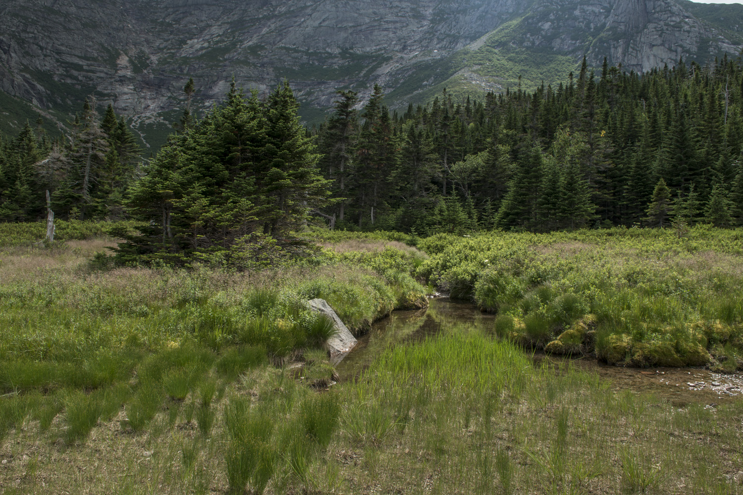 Along the shore of Chimney Pond