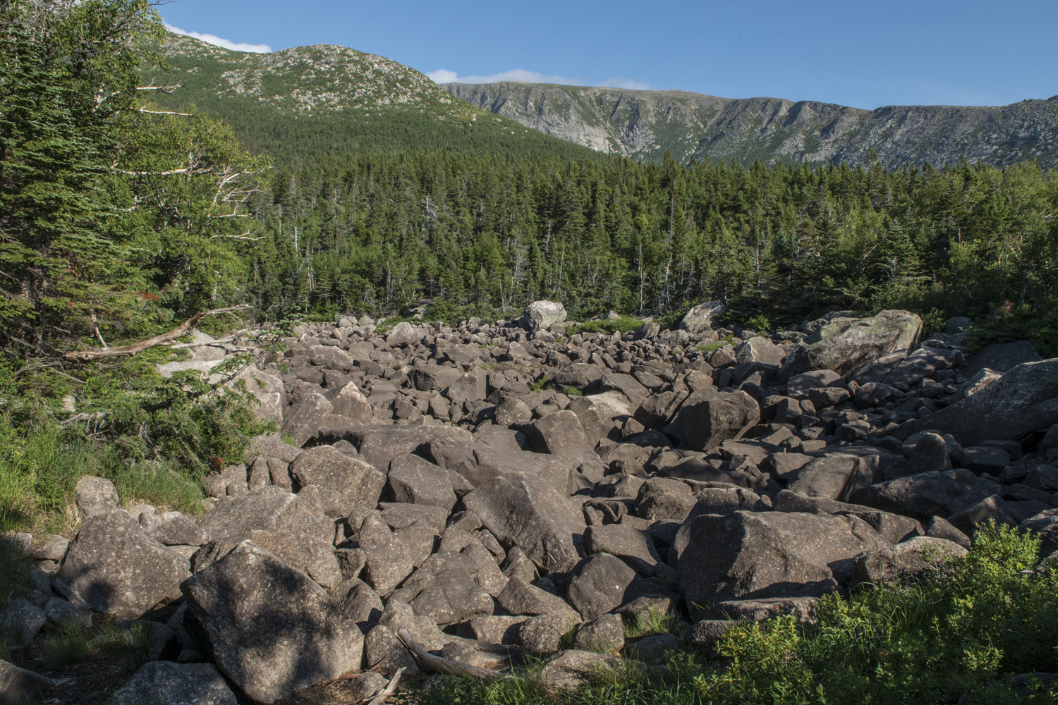 Dry Pond