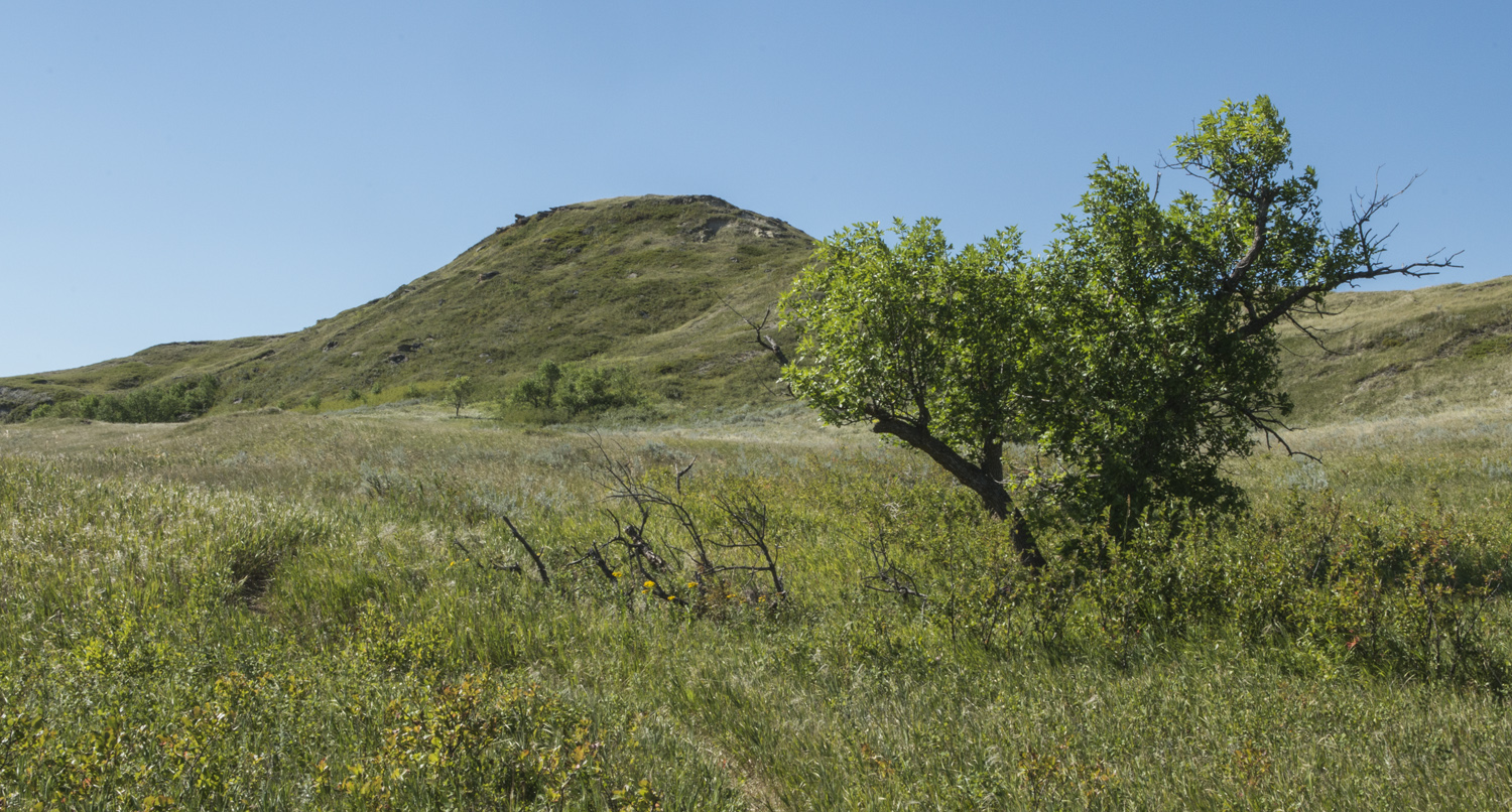 White_Butte_11.jpg