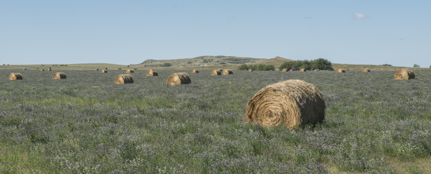 White_Butte_15.jpg