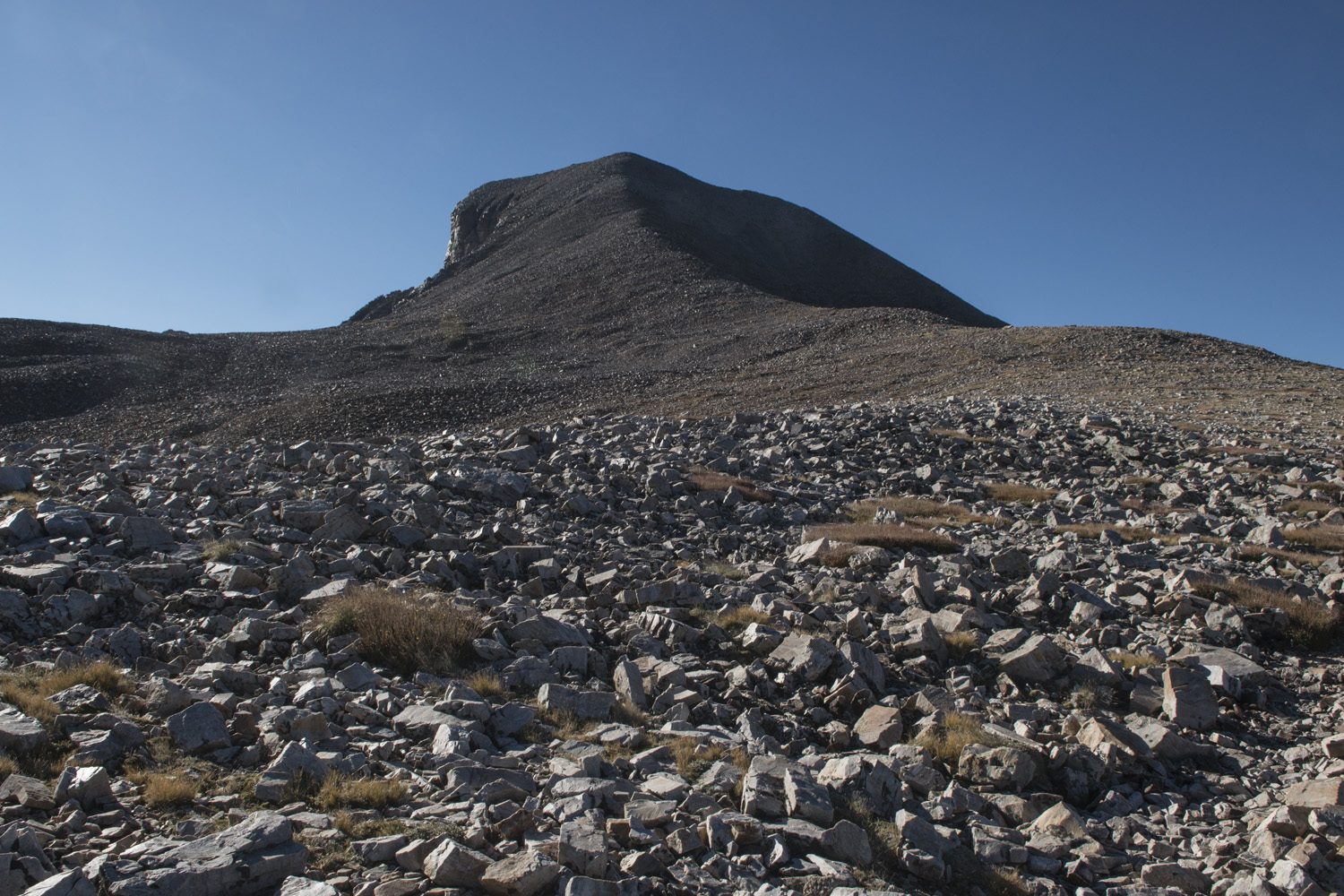 Nearing the summit of Wheeler Peak