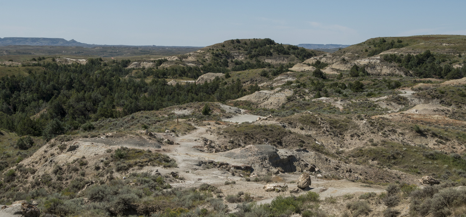 TRNP_ND_038.jpg