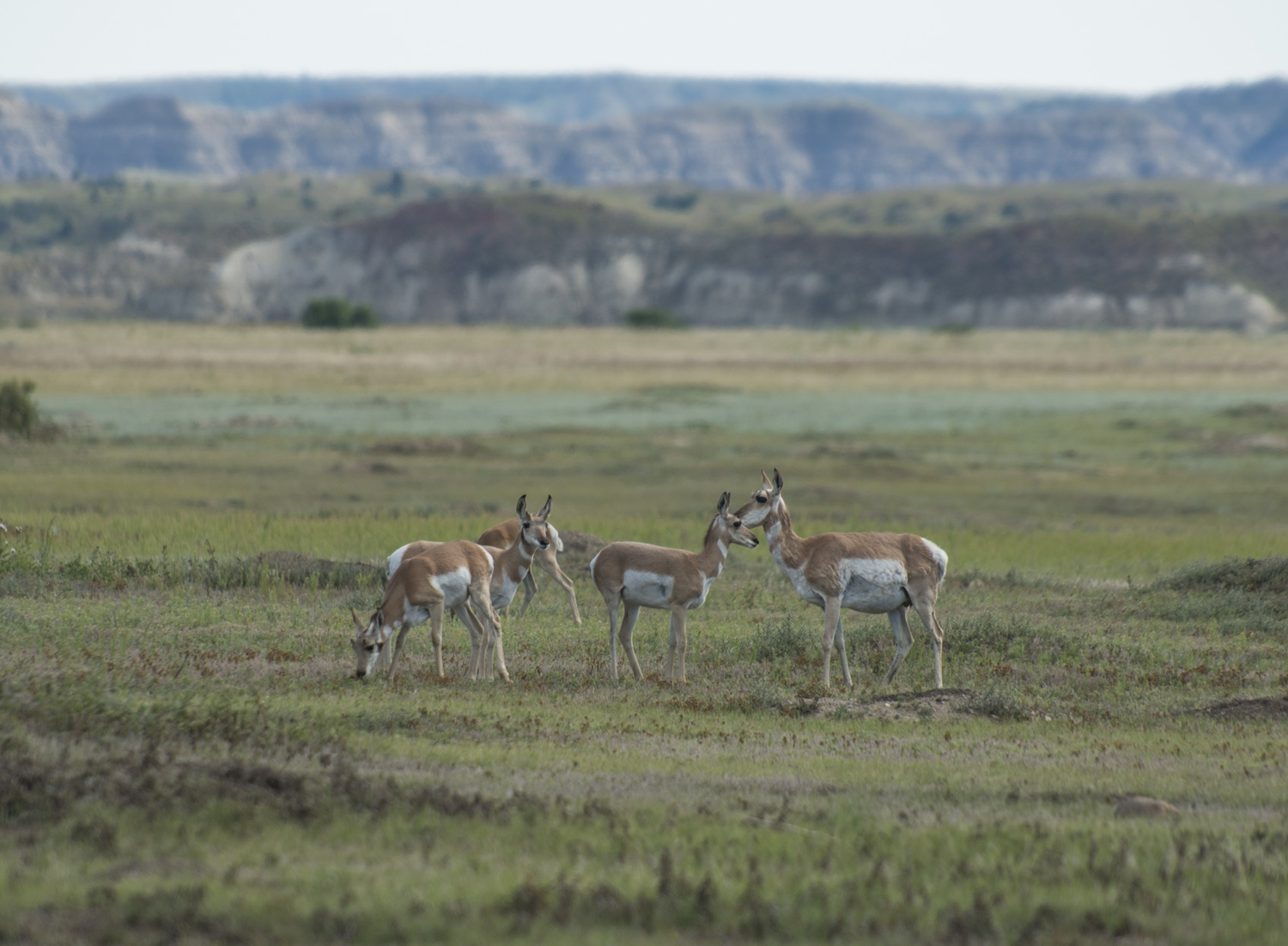 TRNP_ND_027.jpg