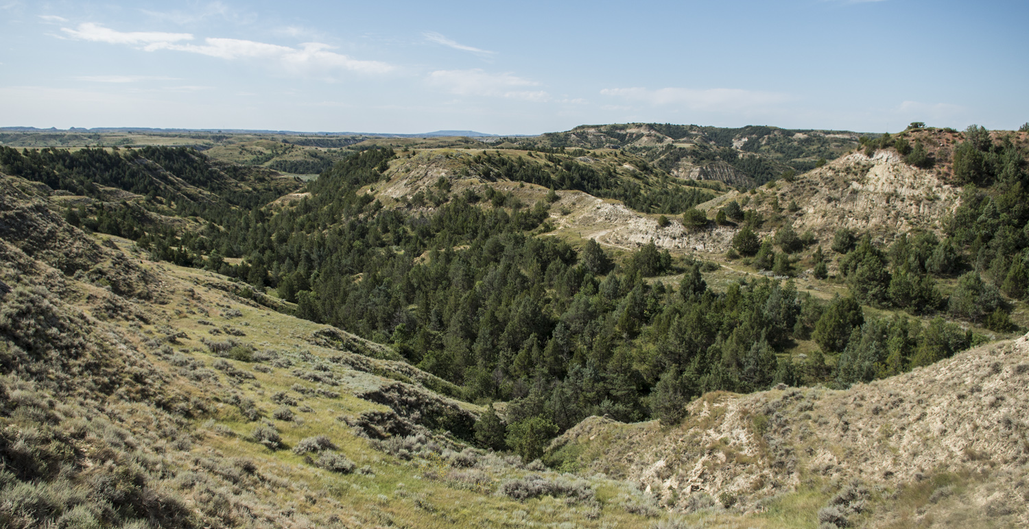 TRNP_ND_033.jpg