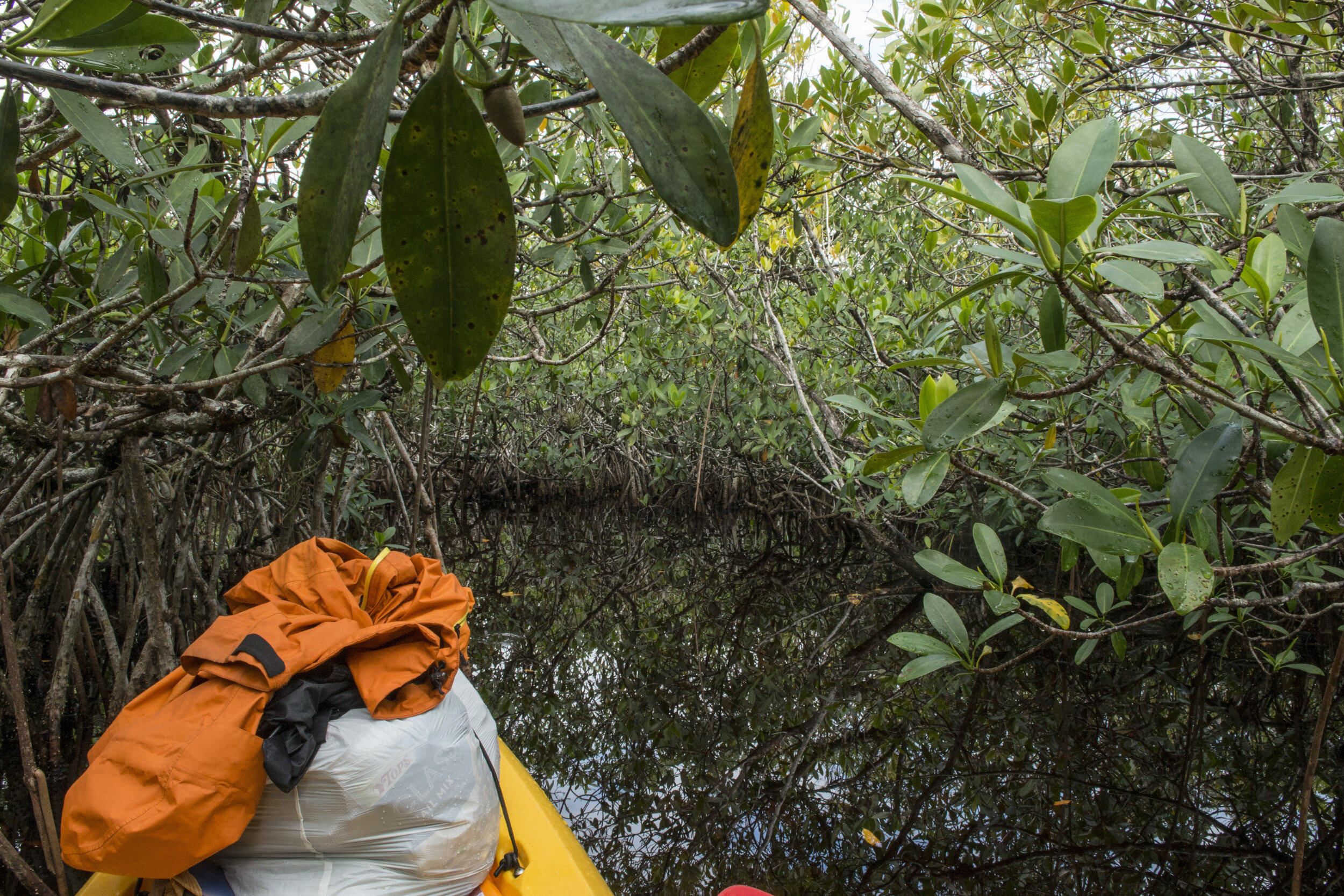 Everglades_NP_015.jpg