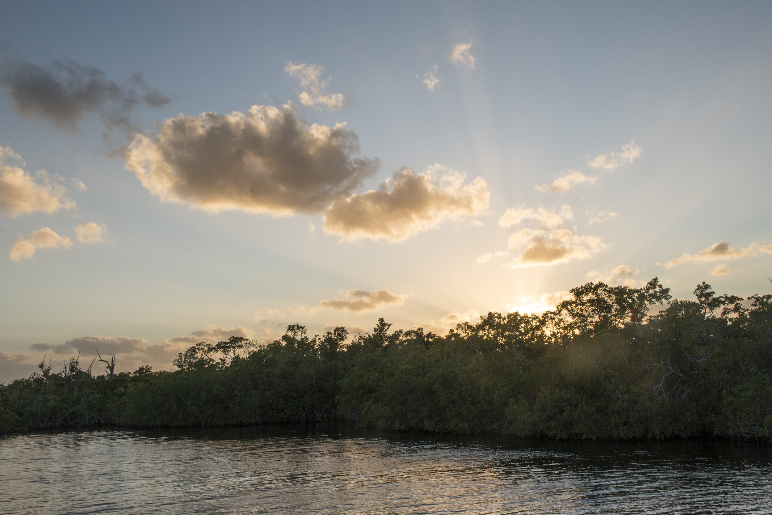 Everglades_NP_020.jpg