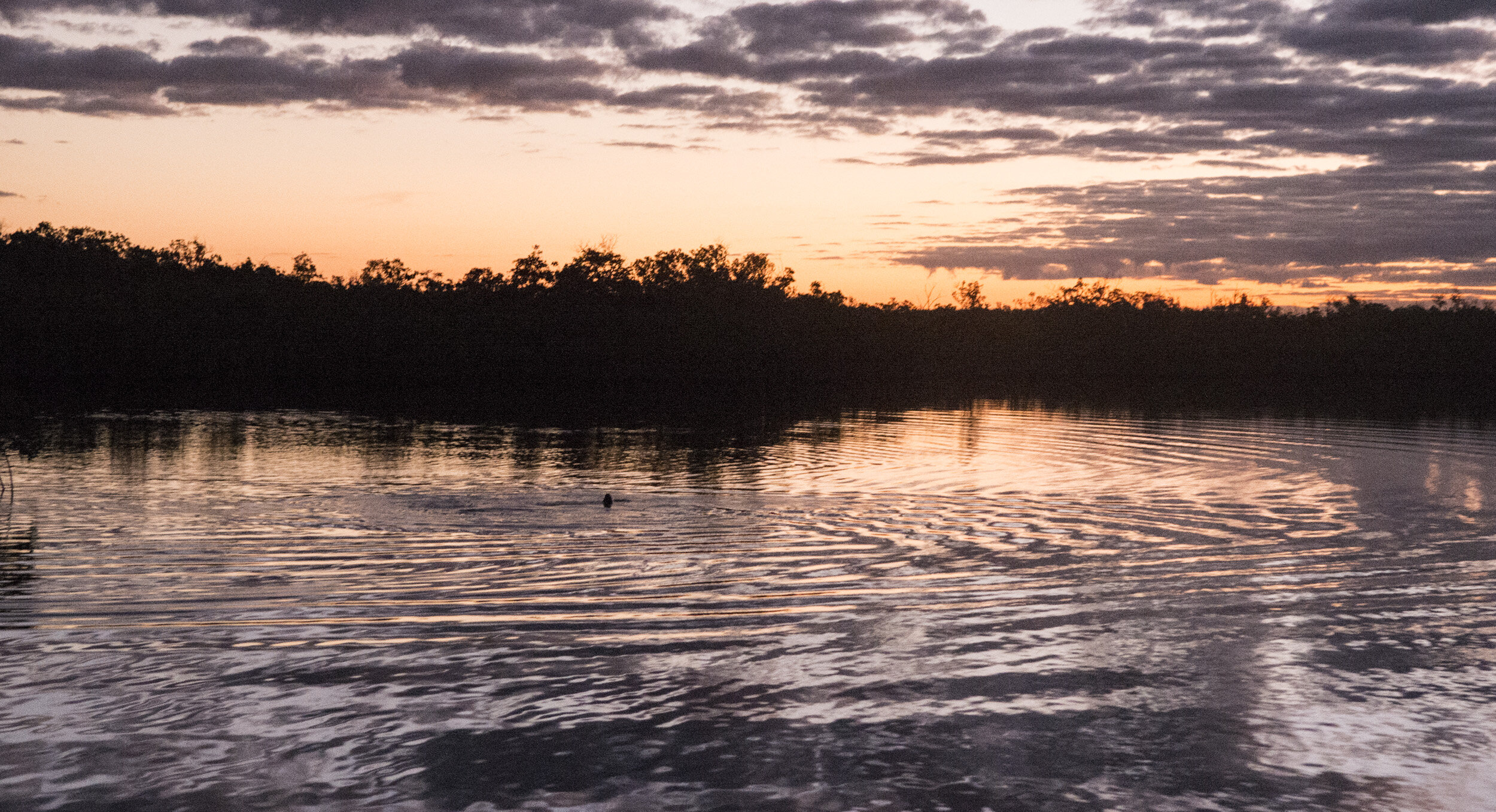 Everglades_NP_053.jpg