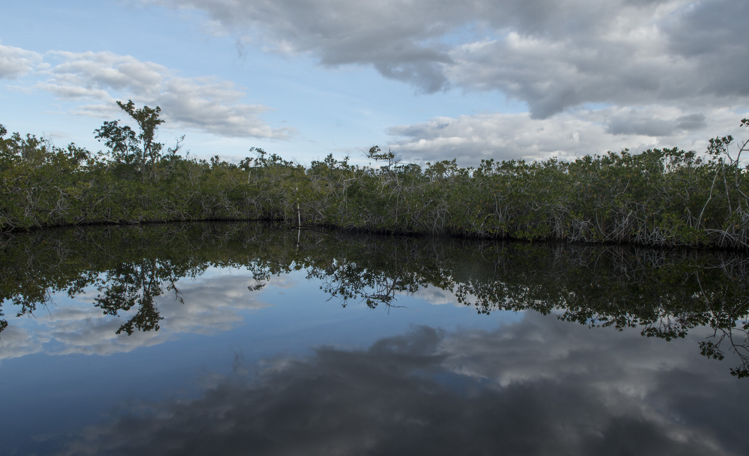 Everglades_NP_063.jpg