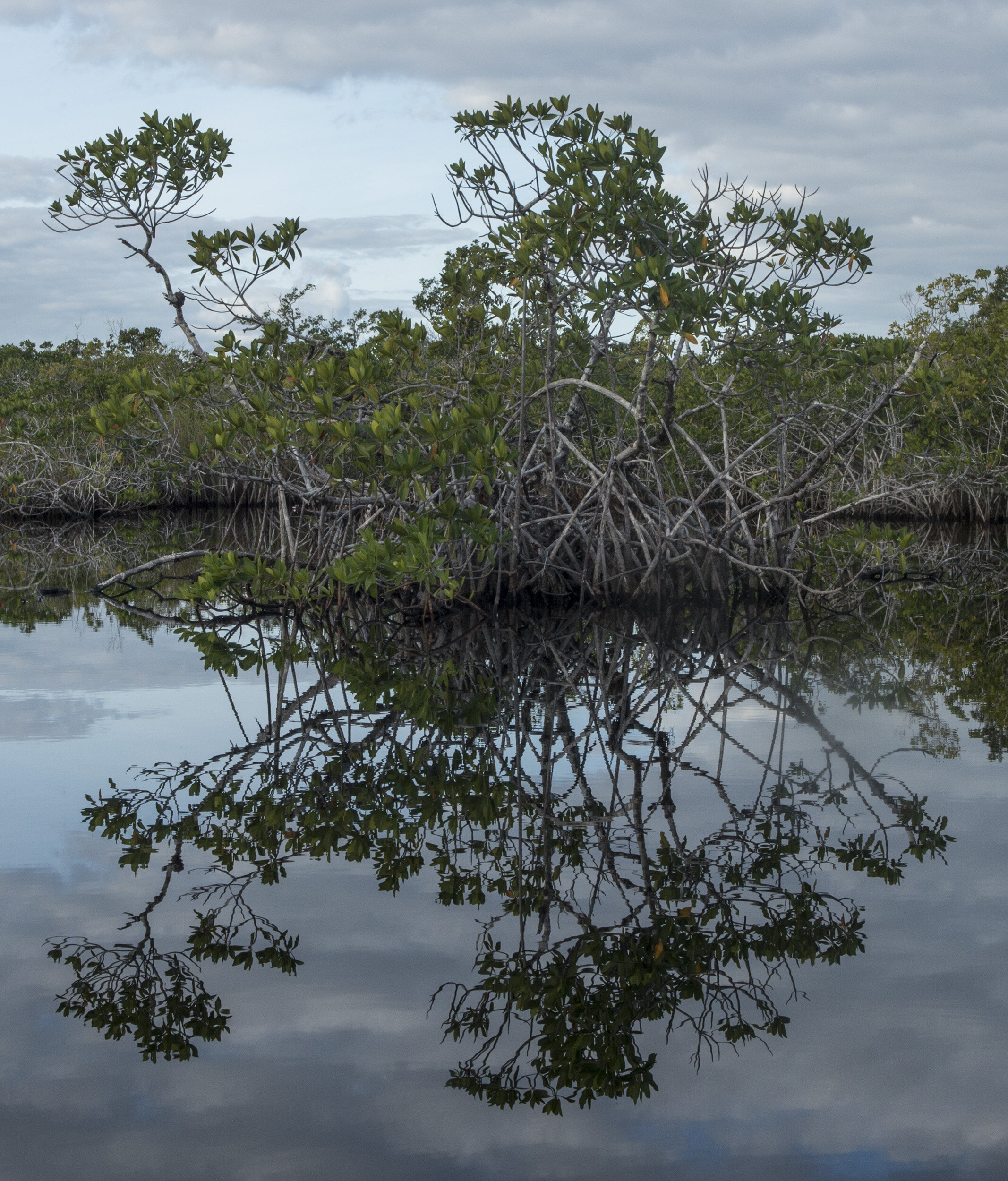 Everglades_NP_064.jpg